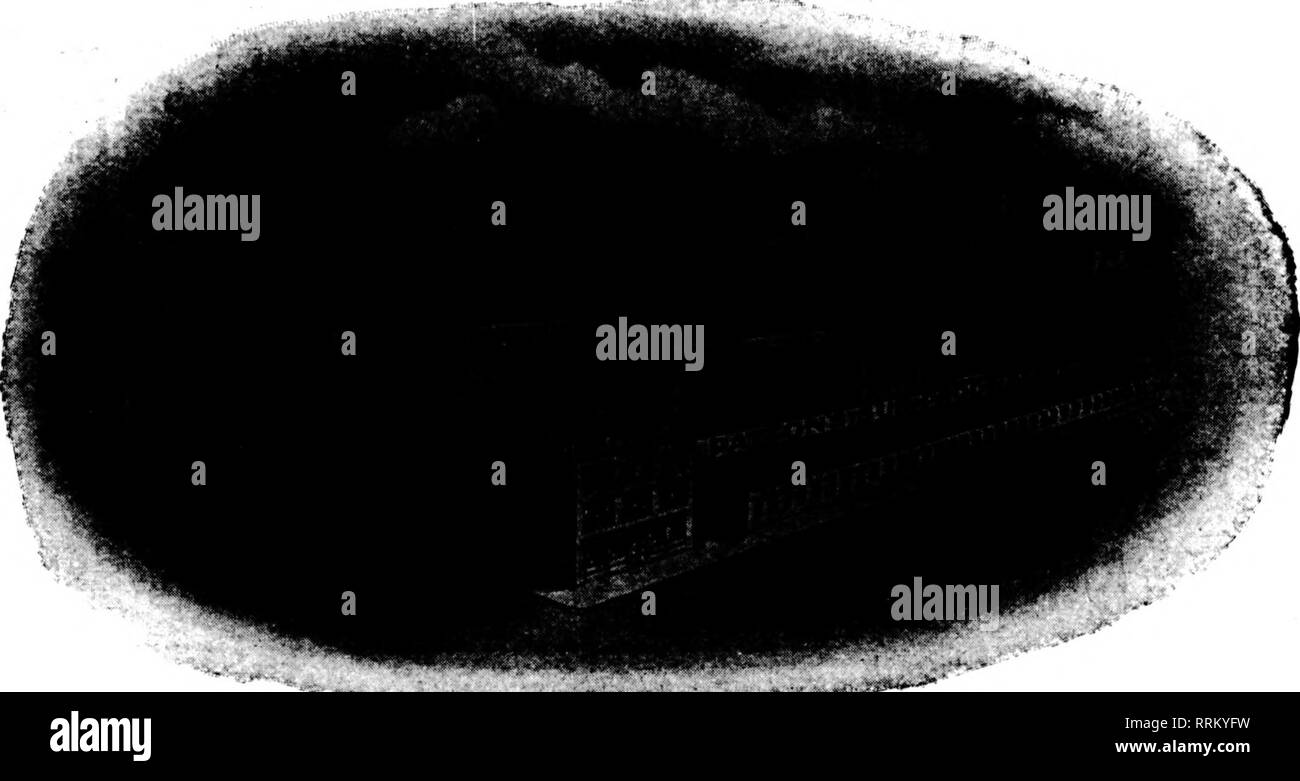 Chicago Bears Black And White Stock Photos Images Alamy