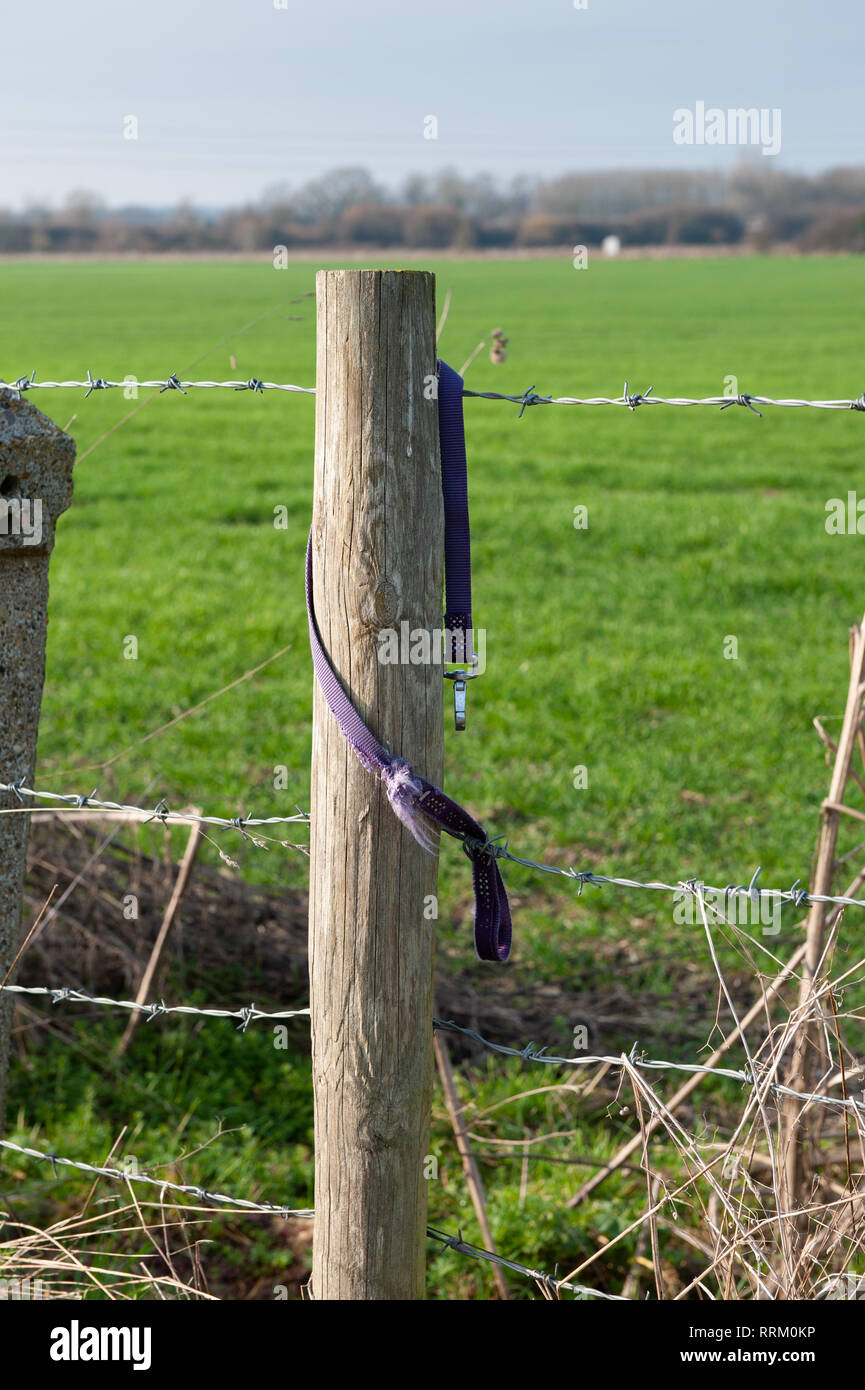 Abandoned purple dog lead hung on post by side of field. Stock Photo