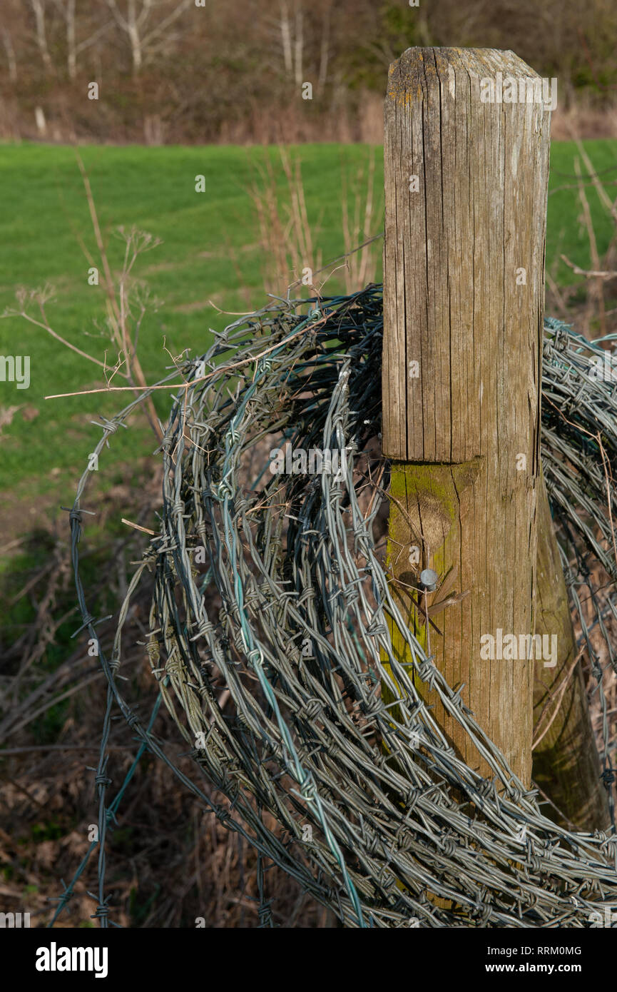 A roll of barbed wire hanging on a fence post by the side of a field