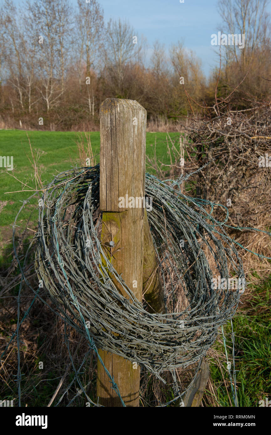 A roll of barbed wire hanging on a fence post by the side of a field. Stock Photo