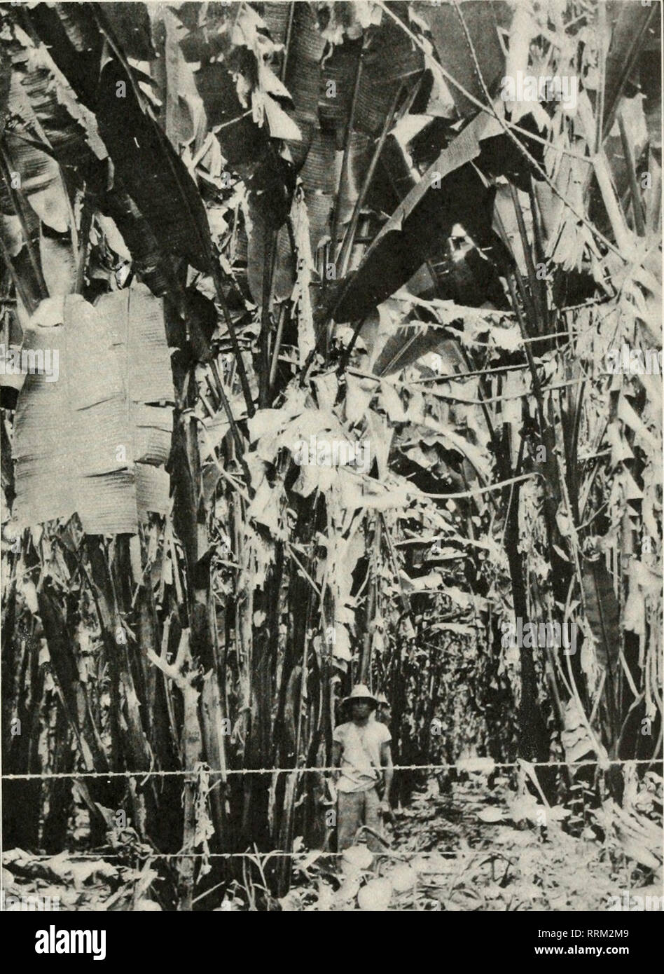 Sixaba hires stock photography and images Alamy