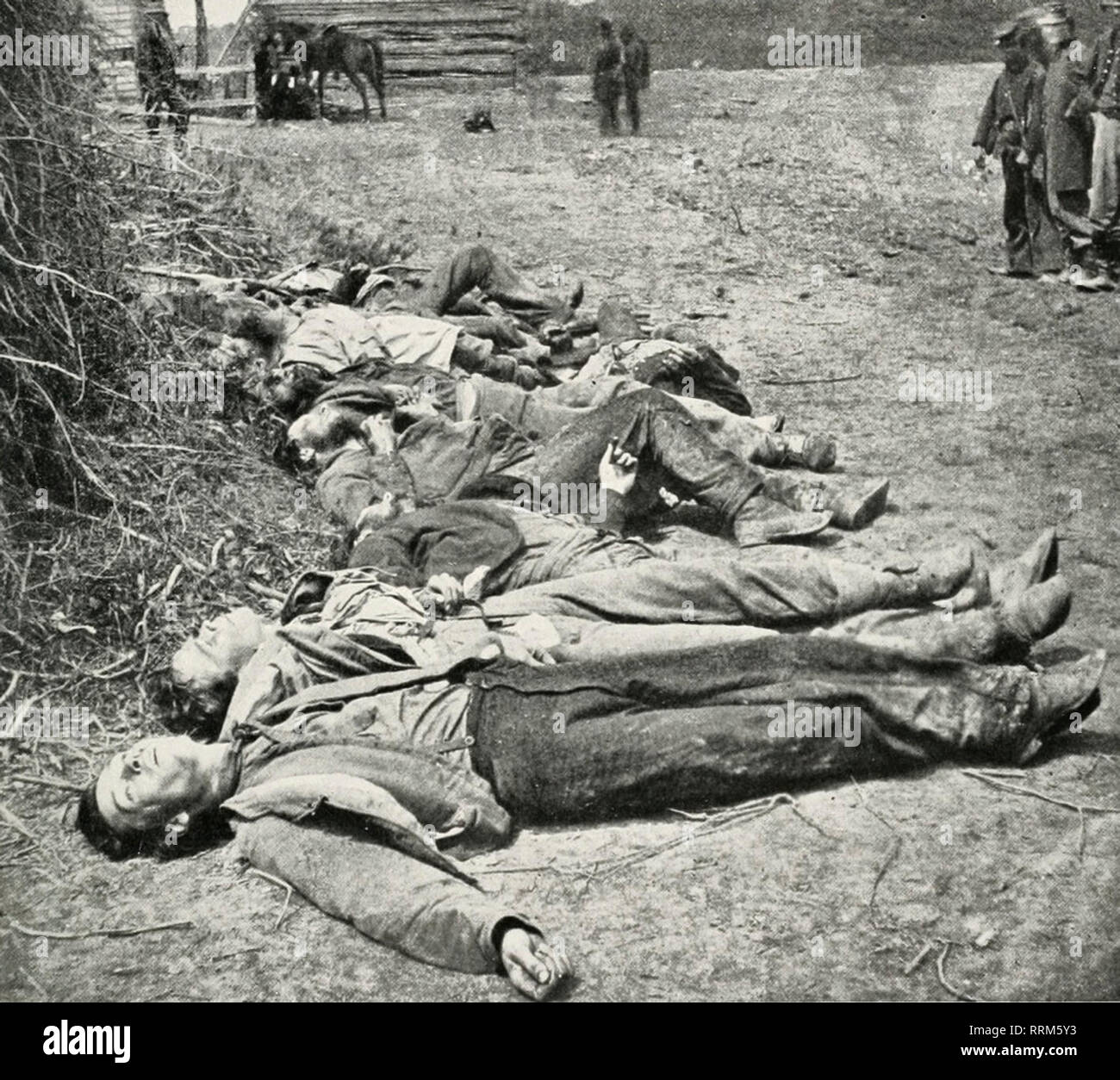 Confederate dead of General Ewell's Corps who attacked the Union lines at the Battle of Spotsylvania. May 1864 Stock Photo