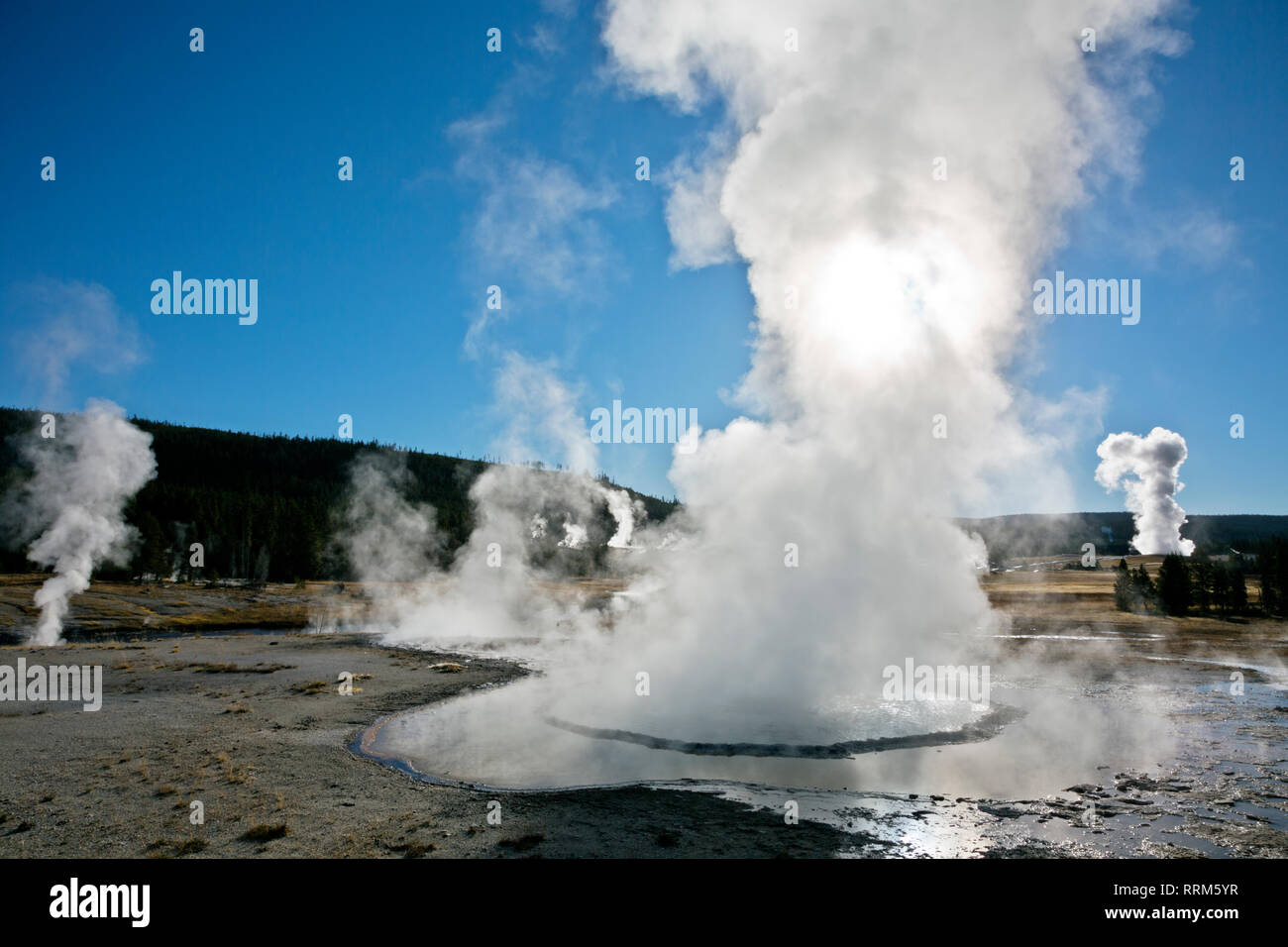 WY03850-00...WYOMING - Erupting geysers on the Upper Geyser Basin of Yellowstone National Park. Stock Photo