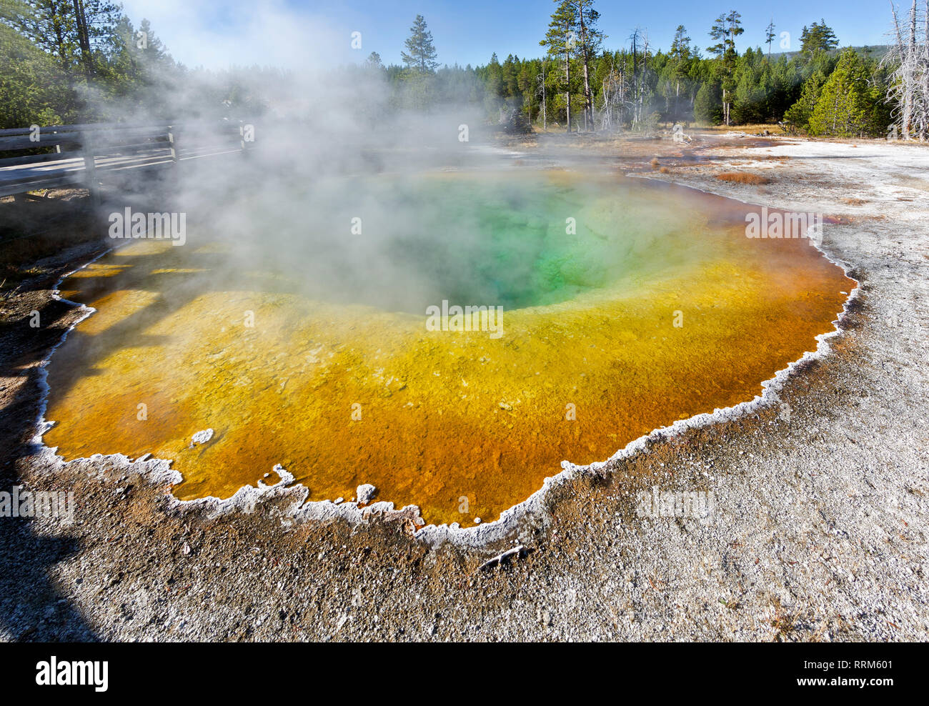 WY03853-00...WYOMING - Morning Glory Pool in the Upper Geyser Basin area of Yellowstone National Park. Stock Photo