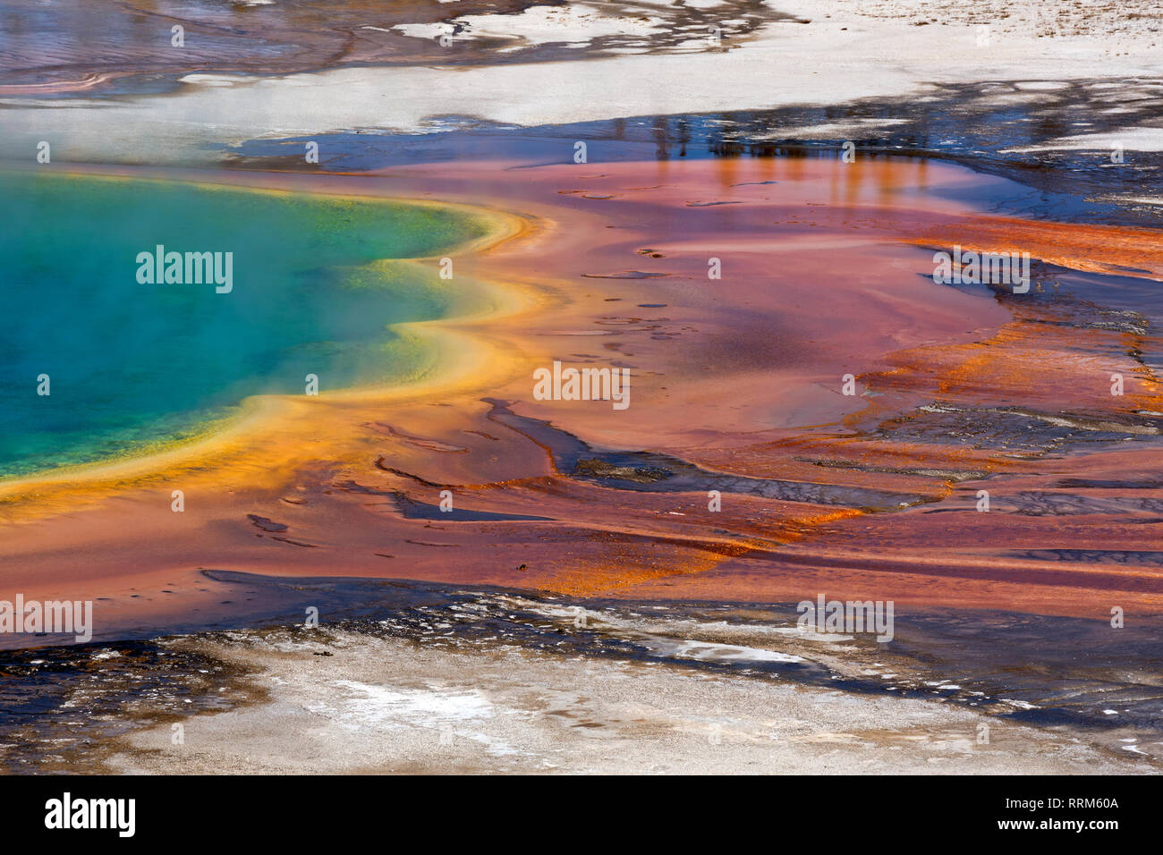 WY03860-00...WYOMING - The colorful Grand Prismatic Spring in the Midway Geyser Basin of Yellowstone National Park. Stock Photo