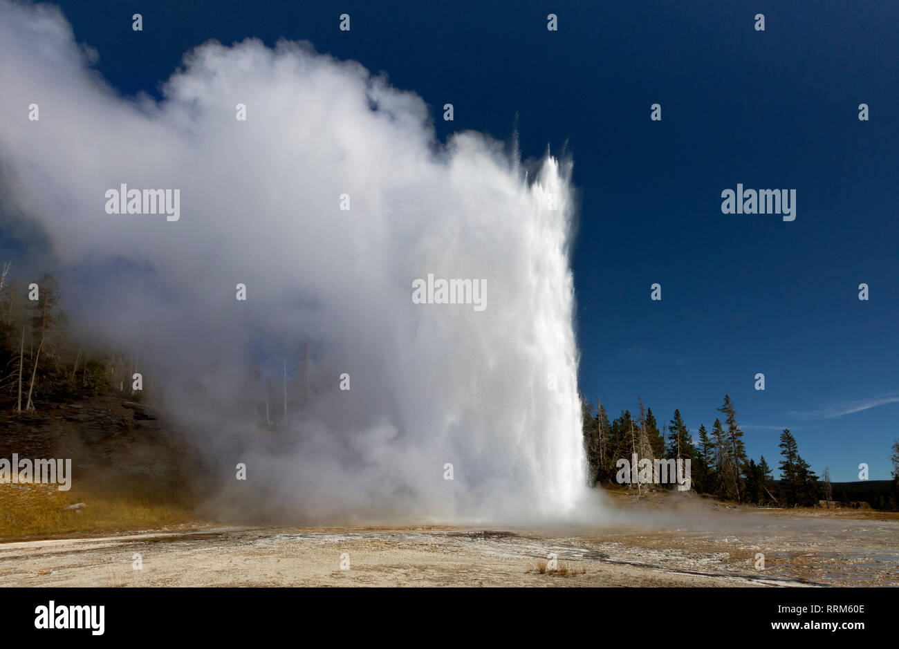 WY03862-00...WYOMING - Grand Geyser, the largest predictable geyser, located in the Upper Geyser Basin of Yellowstone National Park. Stock Photo