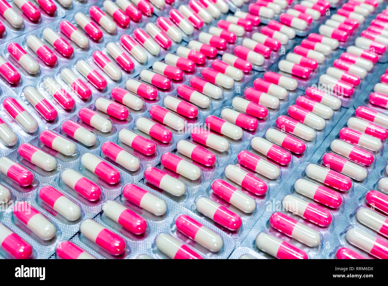 Pink-white antibiotic capsule pills in blister pack. Antibiotics drug resistance. Pharmaceutical packaging industry. Global healthcare. Pharmacy Stock Photo