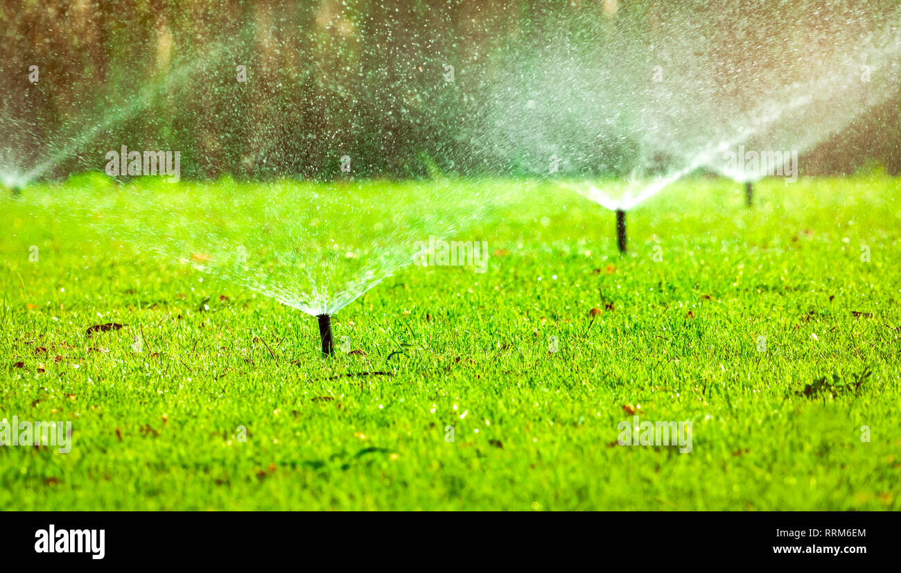 Automatic lawn sprinkler watering green grass. Sprinkler with automatic