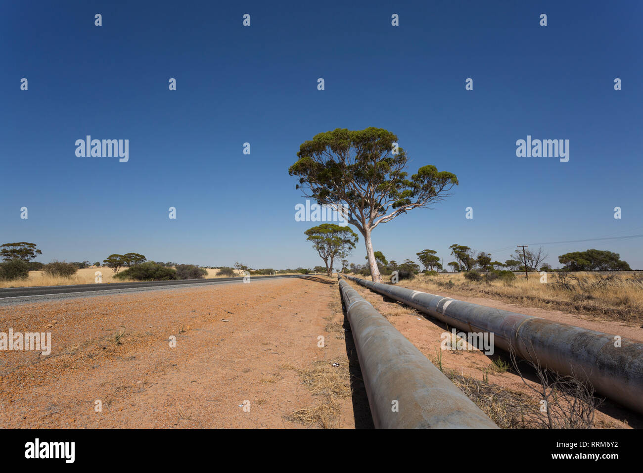 The historic pipeline from Perth to Kalgoorlie Stock Photo Alamy