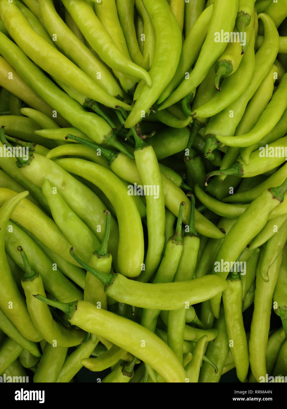 fresh spicy green hot chili peppers Stock Photo - Alamy