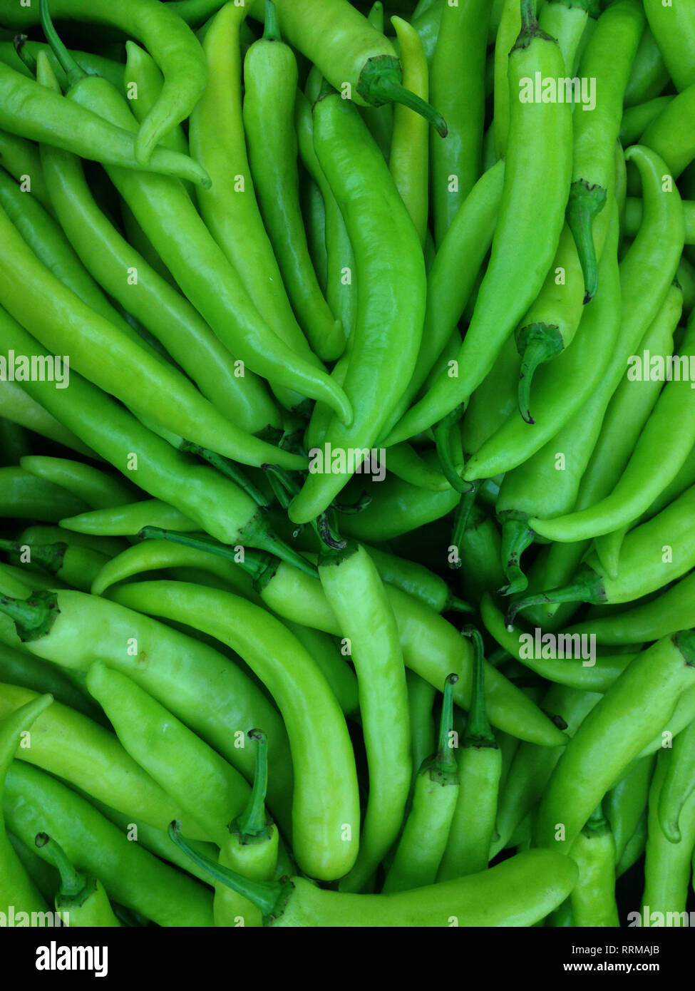 fresh spicy green hot chili peppers Stock Photo - Alamy