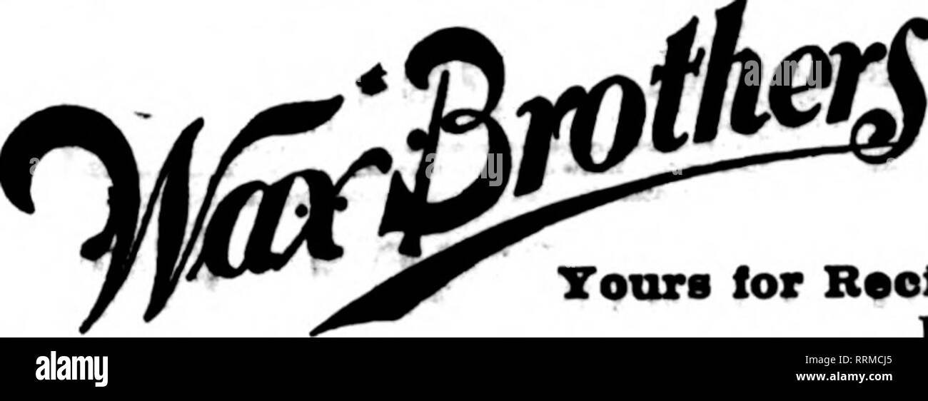 . Florists' review [microform]. Floriculture. &quot;Penn, the Tclctfnph Florist** Member of Floriita' Telecraph Delivery Auooistion 124 TREMONT STREET orc Boston, Massachusetts '^' t4S TmiHONT STREET The Centrally Located Florist Shop Tours for Reciprocity. We cover all points in New Kncland Members Florists' Telegraph Delivery.. FRANKLIN, PENNA. BEI«L FLORAL CO. ALL NORTHWESTERN FA. CRABB &amp; HUNTER TLOWER SHOP GRAND RAPIDS. MICH. Local and State ordera carciully executed BOSTON, MASS. HBNRT R. COmUET, Florist, 6 Park St. 50 years' experience in the florist business guarantees efficiency to Stock Photo