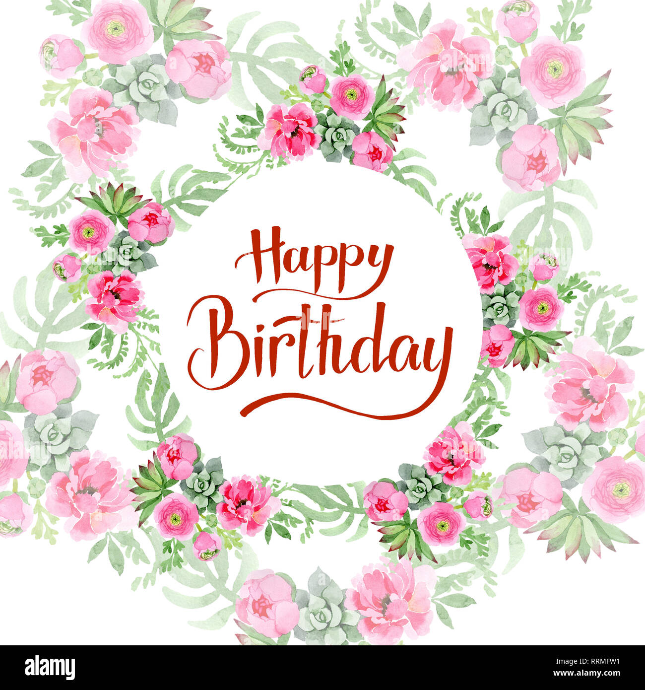 Pink ranunculus floral botanical flowers. Watercolor background ...