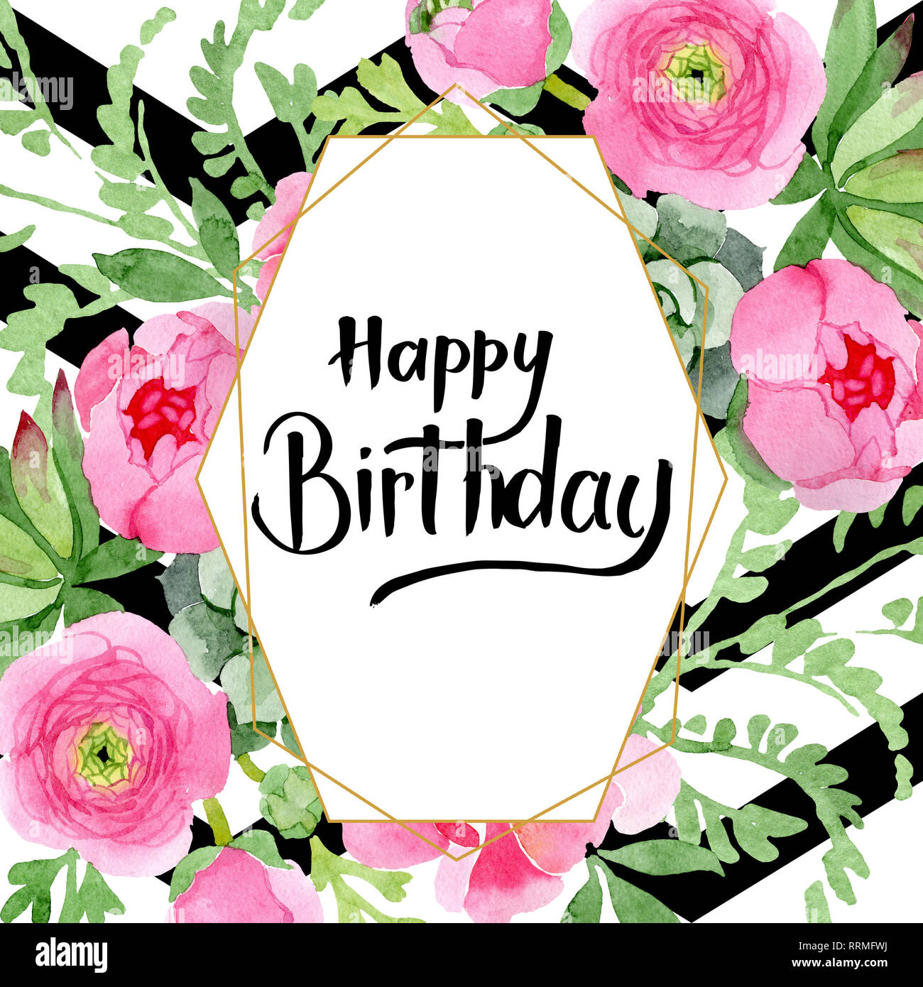 Pink ranunculus floral botanical flowers. Watercolor background ...