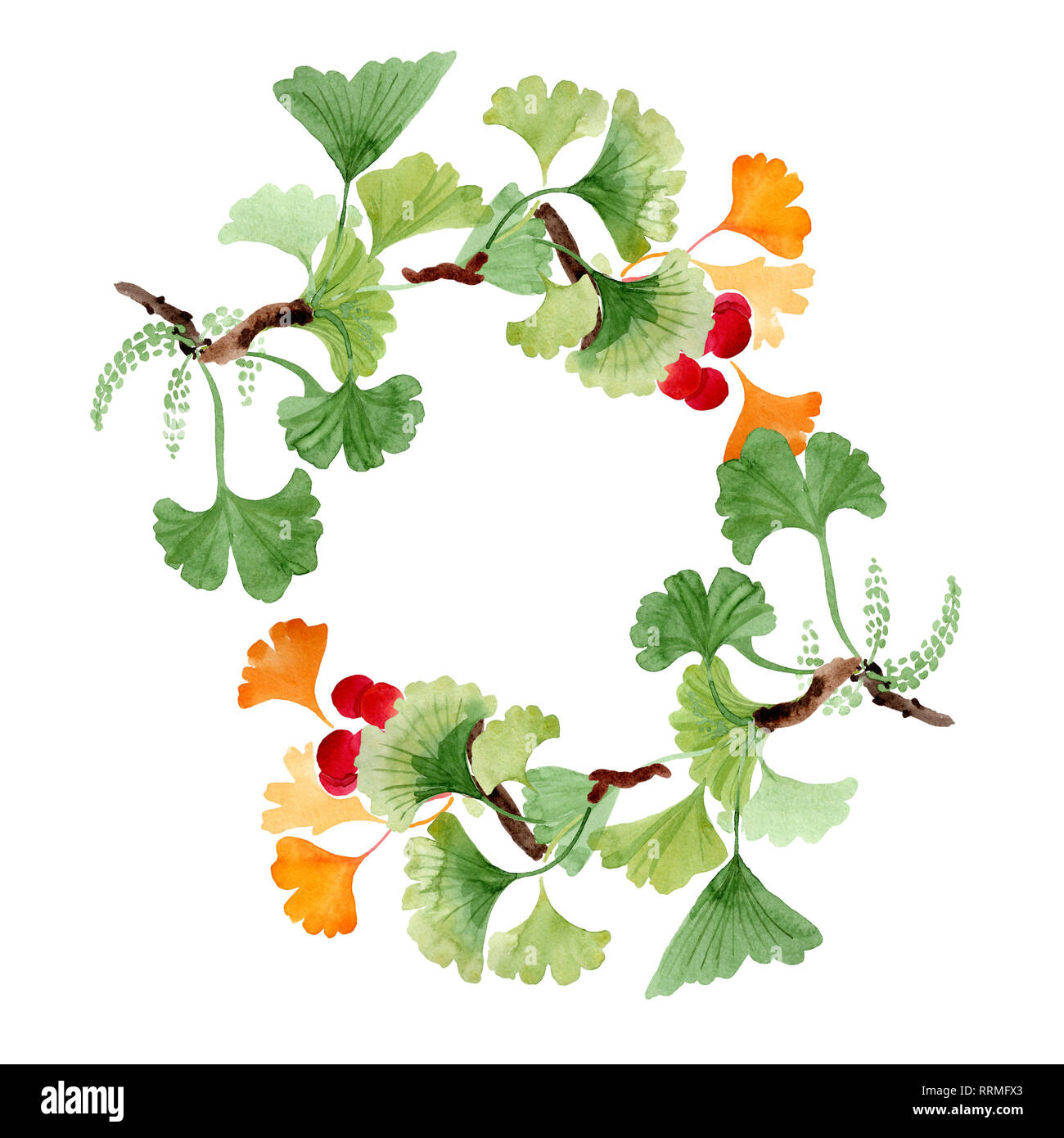 Ginkgo biloba green and yellow leaves. Watercolor background