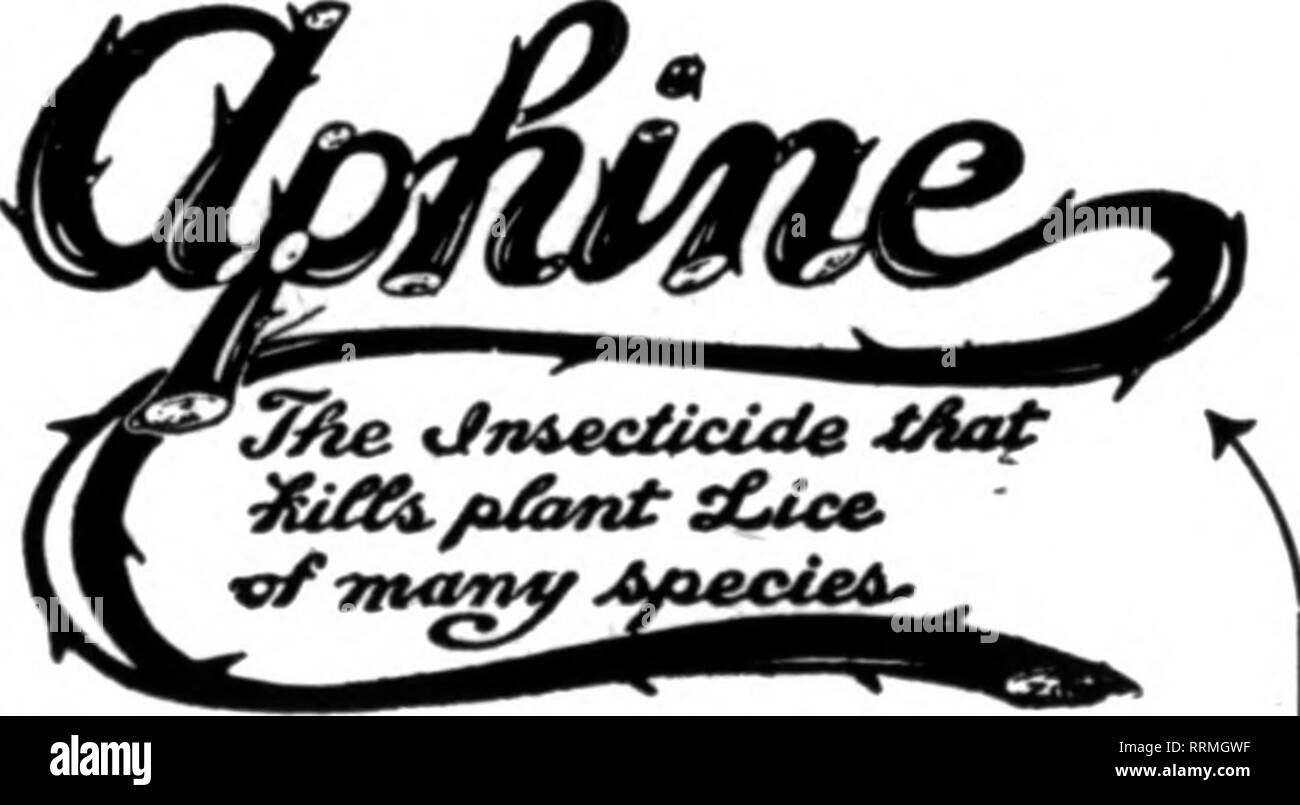 . Florists' review [microform]. Floriculture. G. H. RICHARDS. 234 B0R0U6H,LONDON,S.E.,EN6. Largest British Manufacturer and Shipper of Insecticides, Fnmigants and Garden Sundries of all descriptions. « a ? mm m NICOTINE INSECTICIDE IN LIQUID mm I Mil .NICOTINE insecticide IN PASTE V I B I I VAPORIZING COMPOUND IN UQUID ? I nil VAPORIZINO COMPOUND IN DRY CAKES M I II I I FUMIGATINO SHREDS (NEW) #11 MLL WEEDKILLER * m ?? ? ? ?? ?? LAWN SAND, ETC^ ETC. RAFFIA FIBRE AND BAMBOO CANES Being a direct importer of these articles, shall be glad to contract with American buyers for regular shipments. «VW Stock Photo