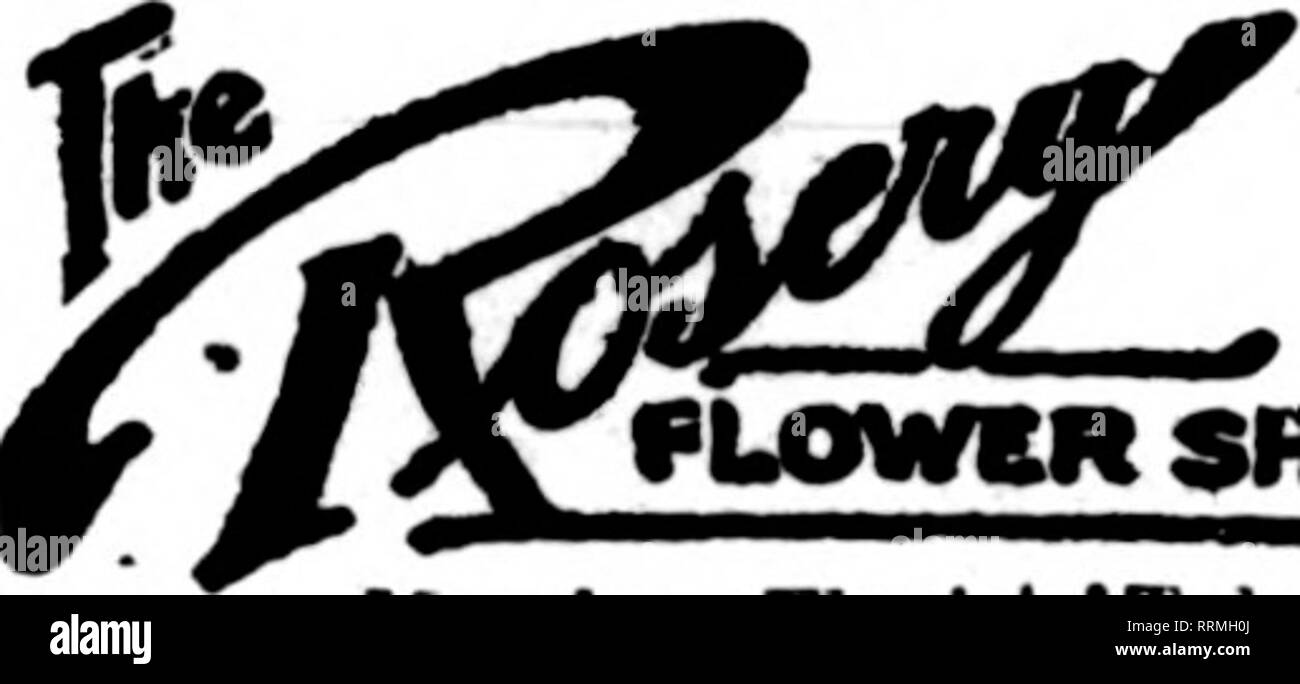 Useimmat eroottinen suihin