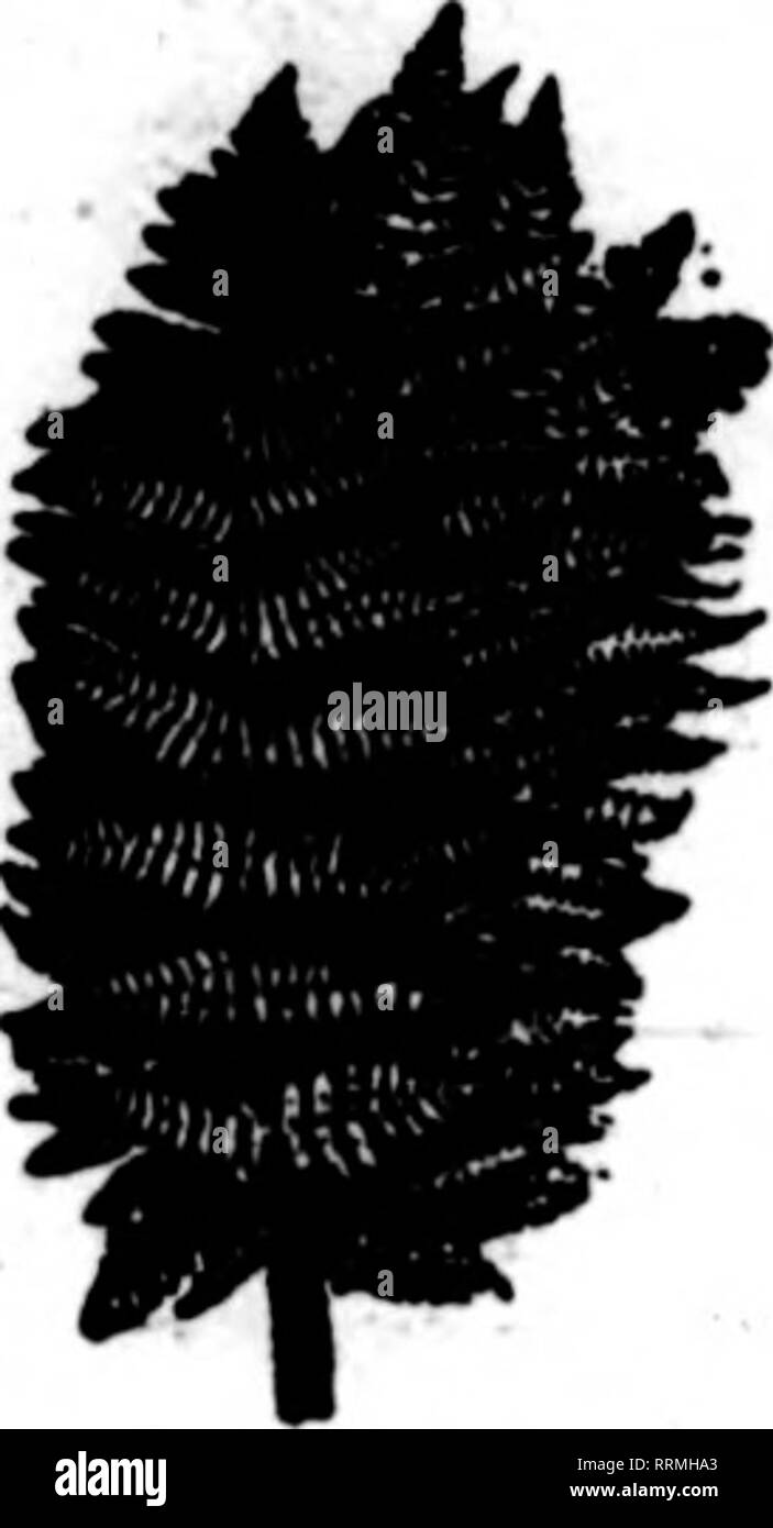 Oet Black And White Stock Photos Images Alamy