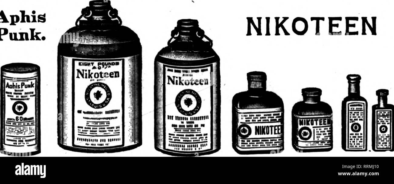 i want to see the eel black and white stock photos images alamy