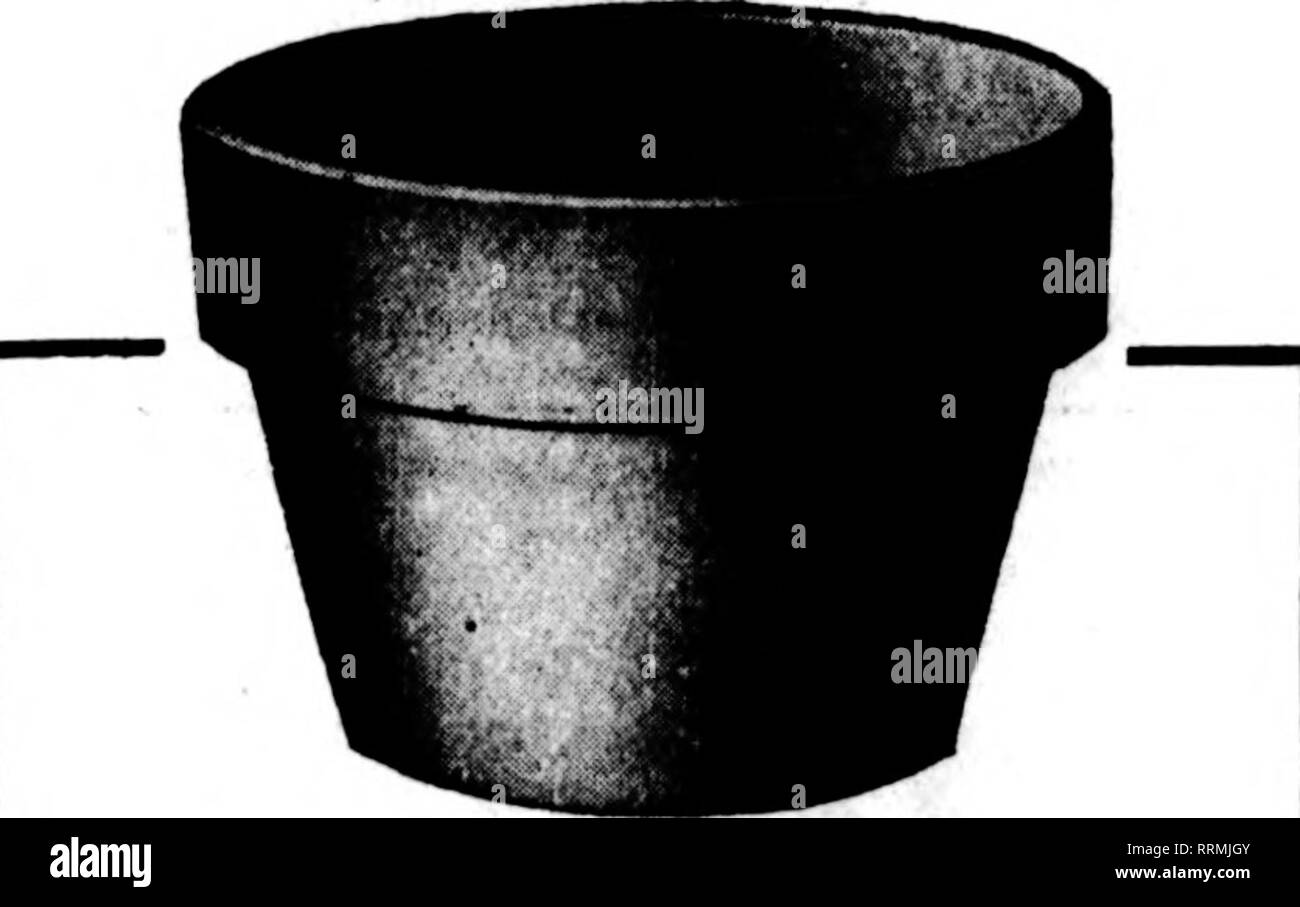 . Florists' review [microform]. Floriculture. Mcntton The ReTtfw wb«ii roa writ*.. Standard Pots AZALEA POTS BULB PANS SUITABLE CLAY is the first essential in producing a satisfactory Florists' Pot. Next in importance is efficient help and modern equipment. We oprate the largest sloneware potteries in the United Slates. Red Wing Stoneware has long been recognized as the standard of quality. In the luanufaclure of Florists' Pots we use a special mixture—a »cientific blendinx of clays —which produces a pot having the reauired P'Tosity, unusual strength and a very attractive red color. We offer y Stock Photo