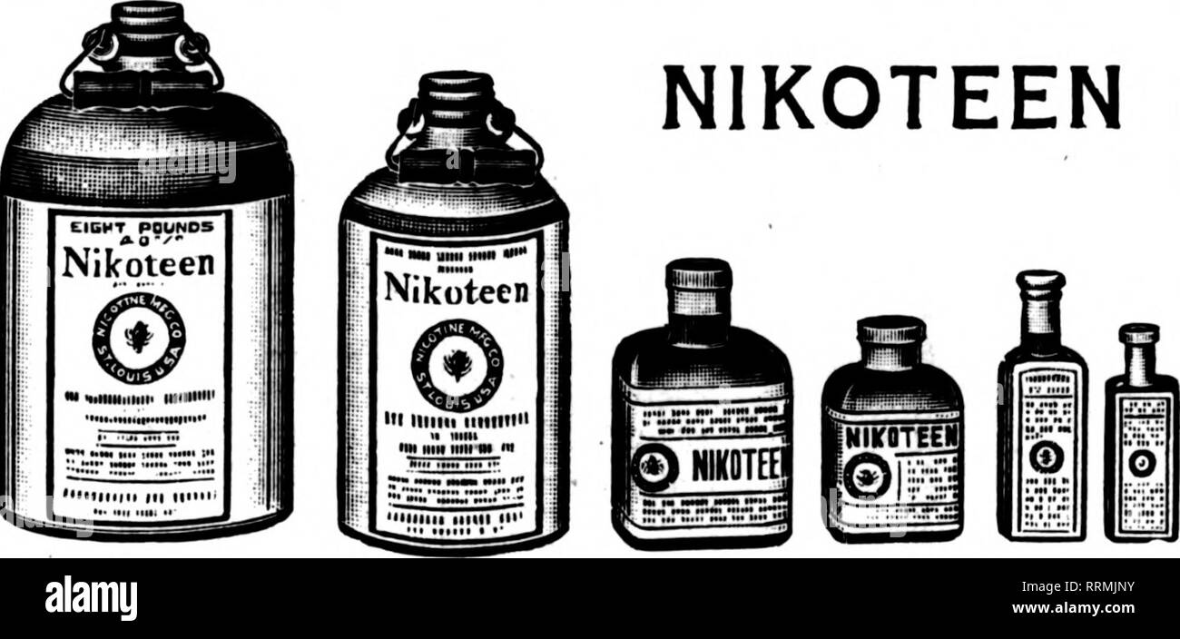 i want to see the eel black and white stock photos images alamy