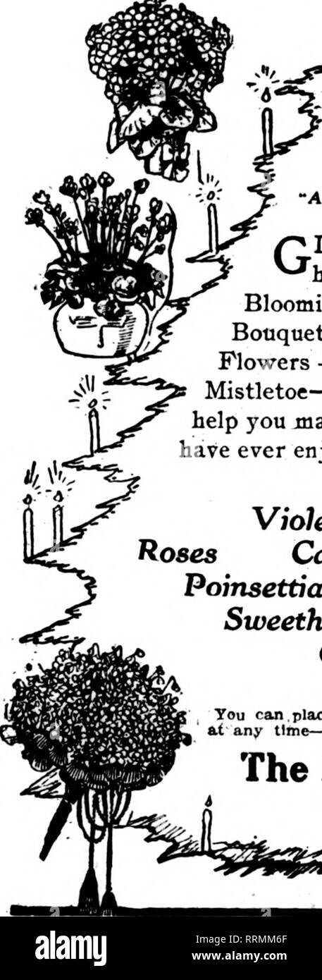 . Florists' review [microform]. Floriculture. each year have Santa Claus in the toy sections, but it remained for a Kansas City florist, the George M. Kellogg Flow- er &amp; Plant Co., to press Santa Glaus into the delivery service. The accom- panying illustration shows the Kellogg delivery, auto and Santy delivering a box of flowers. If this was not excellent publicity, it at least was good public- ity. Grown-ups^ as well as children, can be attracted by Santa Claus—every- body is interested in masquerade. In speaking of this advertising stunt, which was used Christmas, 1915, the Kellogg Flow Stock Photo