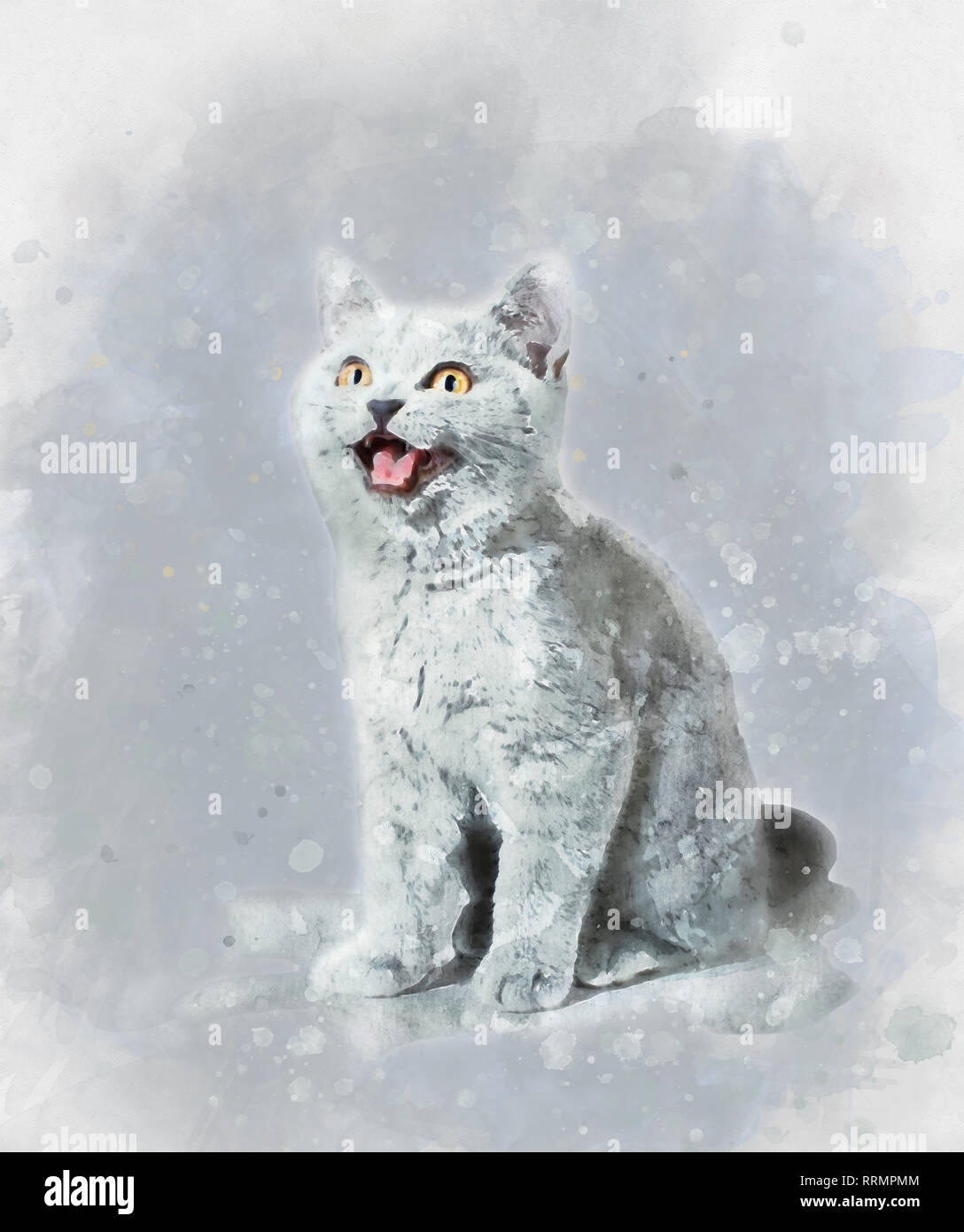 British shorthair kitten watercolor Stock Photo - Alamy