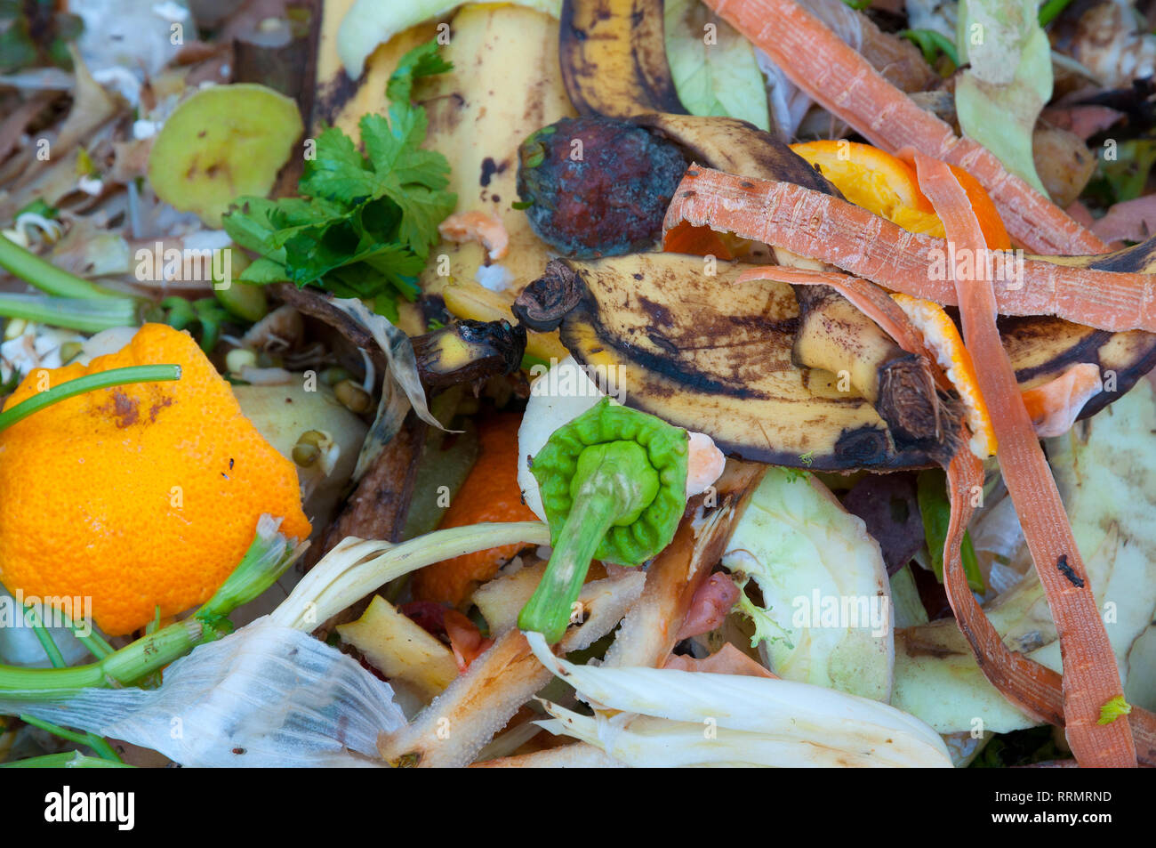 Compost, mixed vegetables and fruits Stock Photo Alamy
