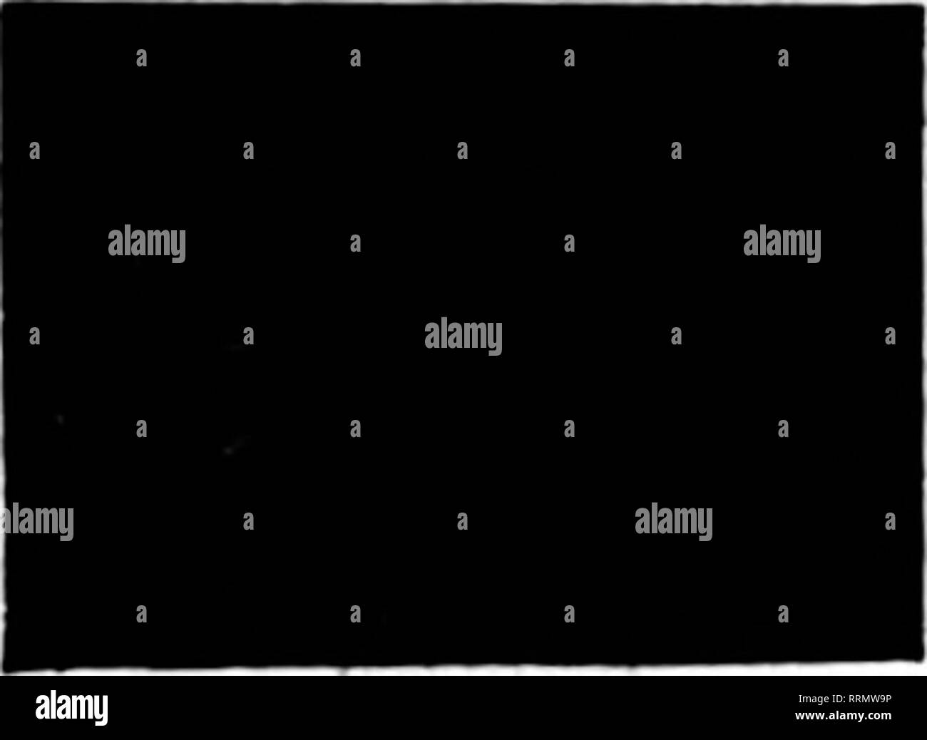 Florists\u0027 SPLIT CABHATXON8 Floriculture. [microform]. ... review