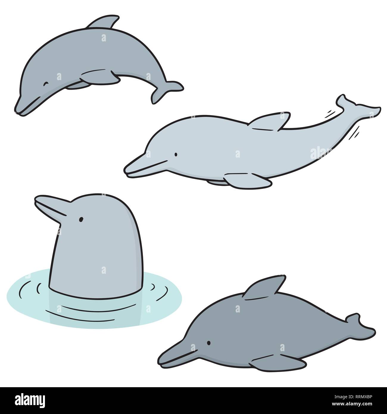 vector set of dolphin Stock Vector Image & Art - Alamy