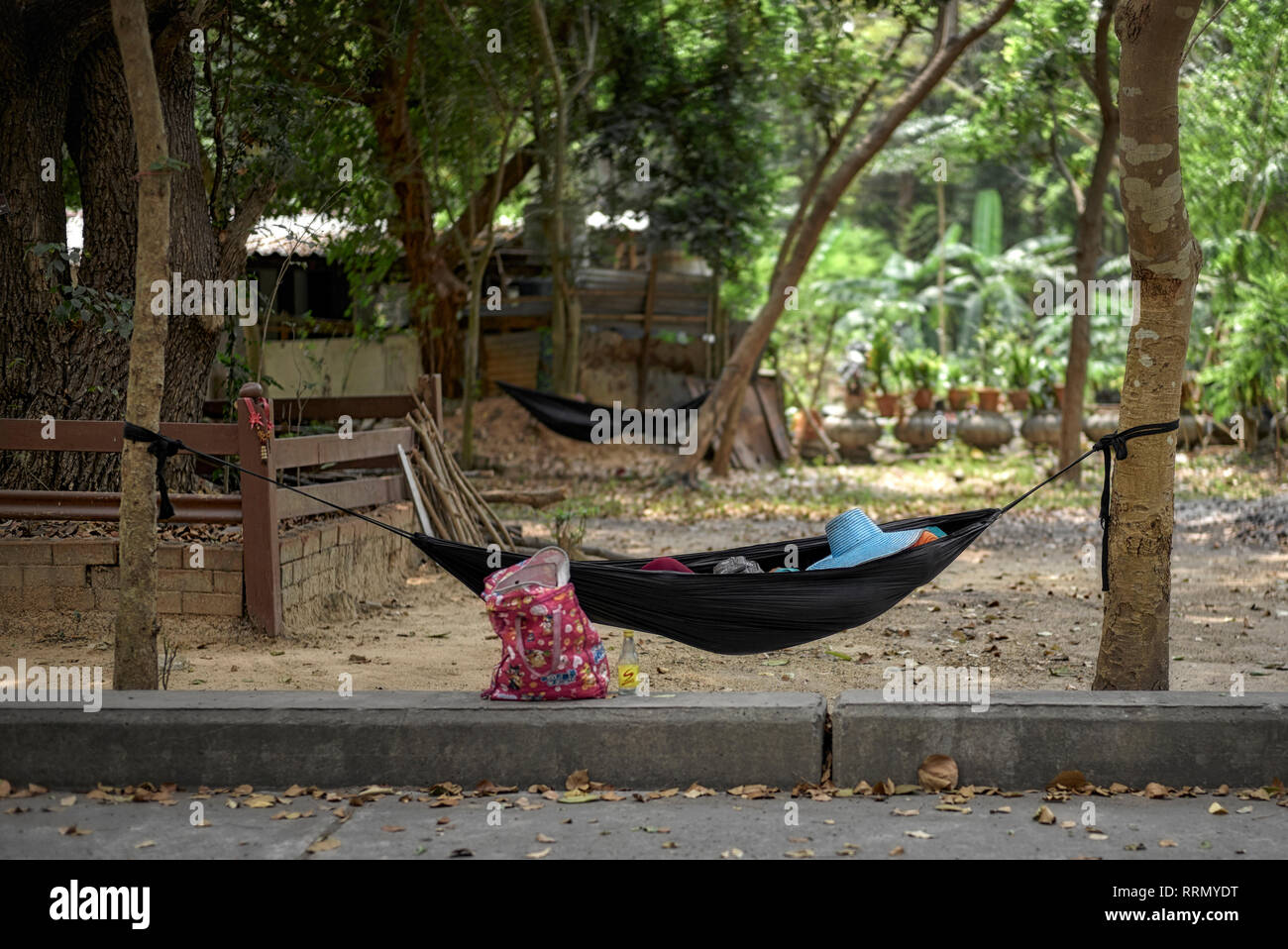 Sleeping hammock. Thailand worker taking a break and sleeping in a hammock strung between trees Stock Photo