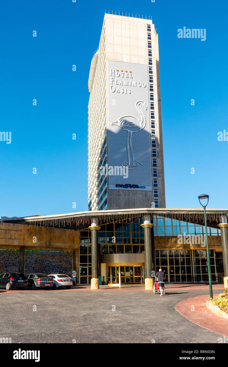 Hotel flamingo oasis hi-res stock photography and images - Alamy