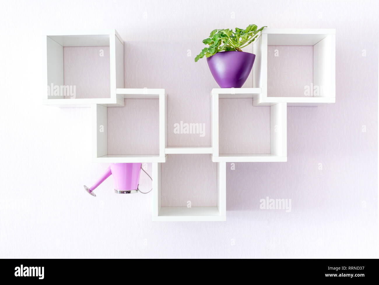 A Modern White Bookshelf On A White Wall With A Flower And A