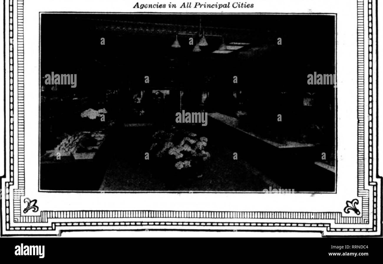 . Florists' review [microform]. Floriculture. McCray Florists