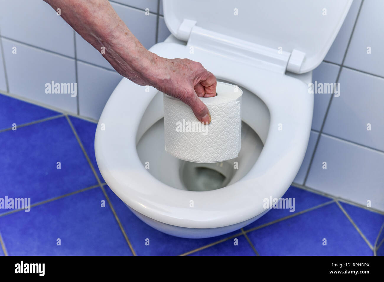 Loo paper, toilet, Klopapier, Toilette Stock Photo