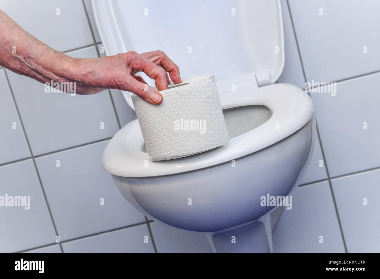 Loo paper, toilet, Klopapier, Toilette Stock Photo