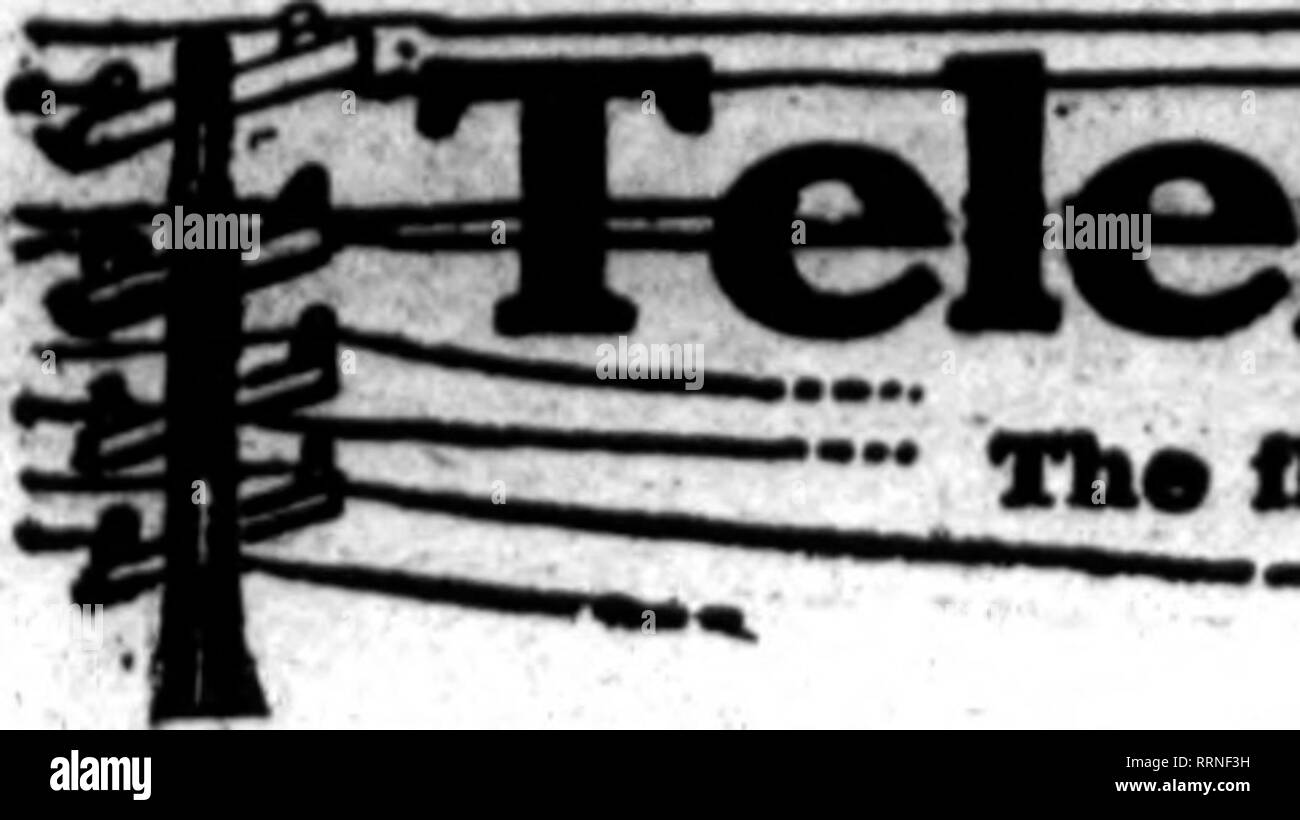 Wft Black And White Stock Photos Images Alamy