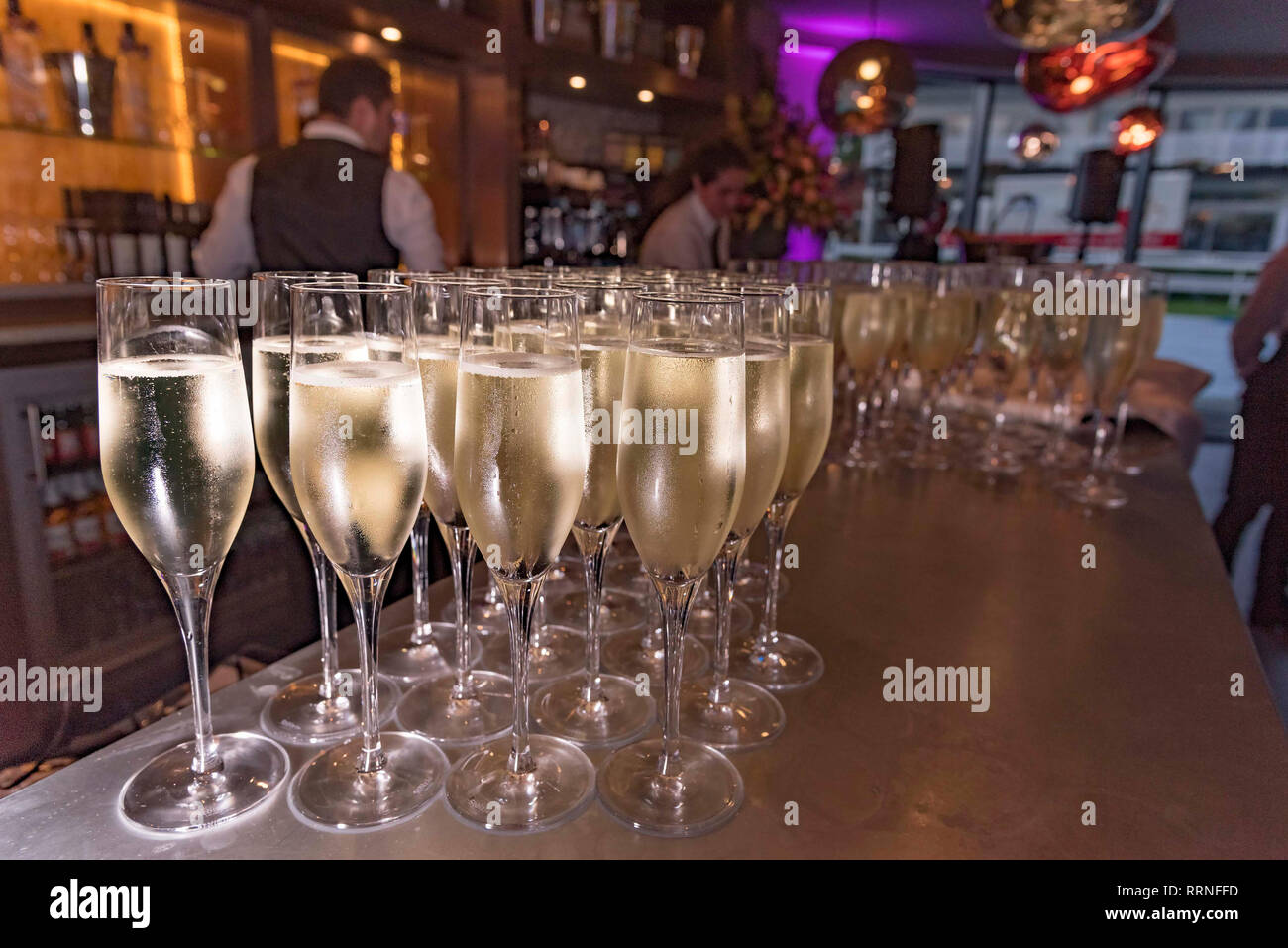 Champagne glasses. flutes Stock Photo