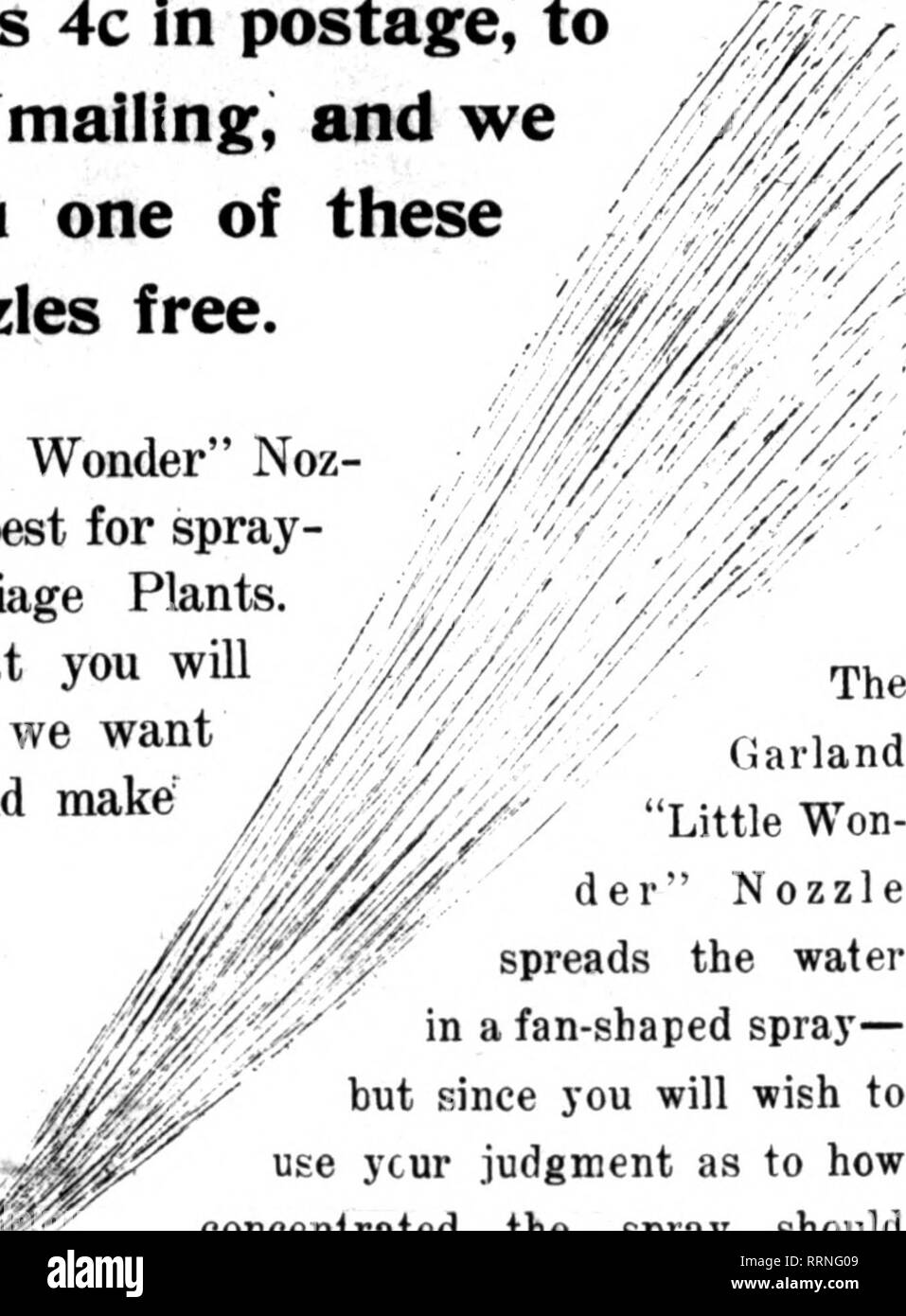 . Florists' review [microform]. Floriculture. .^ a.,i-^  = Sometime you. or someone you know, will wish to build a new g:reentiouse. Since we are ^ E srrowers as well as builders, we will know exactly what you need. Read what Messrs. Davis = E &amp; Steiner, of Ottawa, III., say in the letter above about the 900x76 ft. Garland New Type Steel = E Frame House which we have just completed for them. When you are ready to build we can E E do just as well for you, so don't fall to let us know. Be sure and send for the&quot;Utde Wonder&quot; Nonle today. E I GARLAND MANIFACTIRING COMPANY I S Speciali Stock Photo