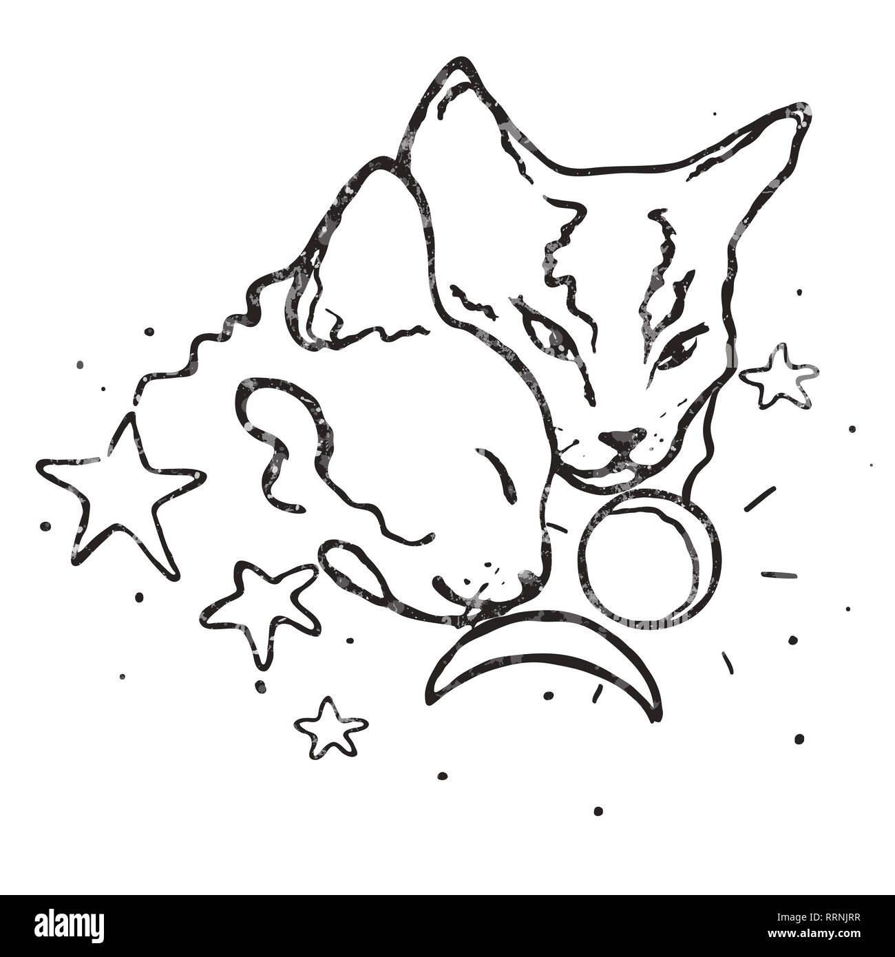 Vector Drawing Illustration Simple Line Design Two Cute Cats Together Moon Stars And Sun Love Stock Photo Alamy