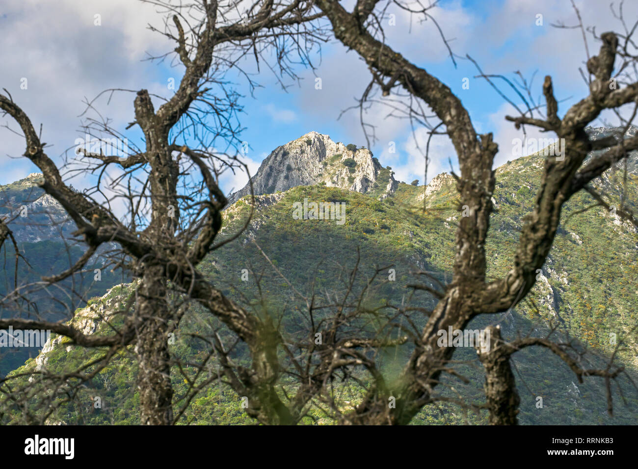 Sierra Blanca. Striations with the Sierra de las Nieves National Park, Malaga. Spain Stock Photo