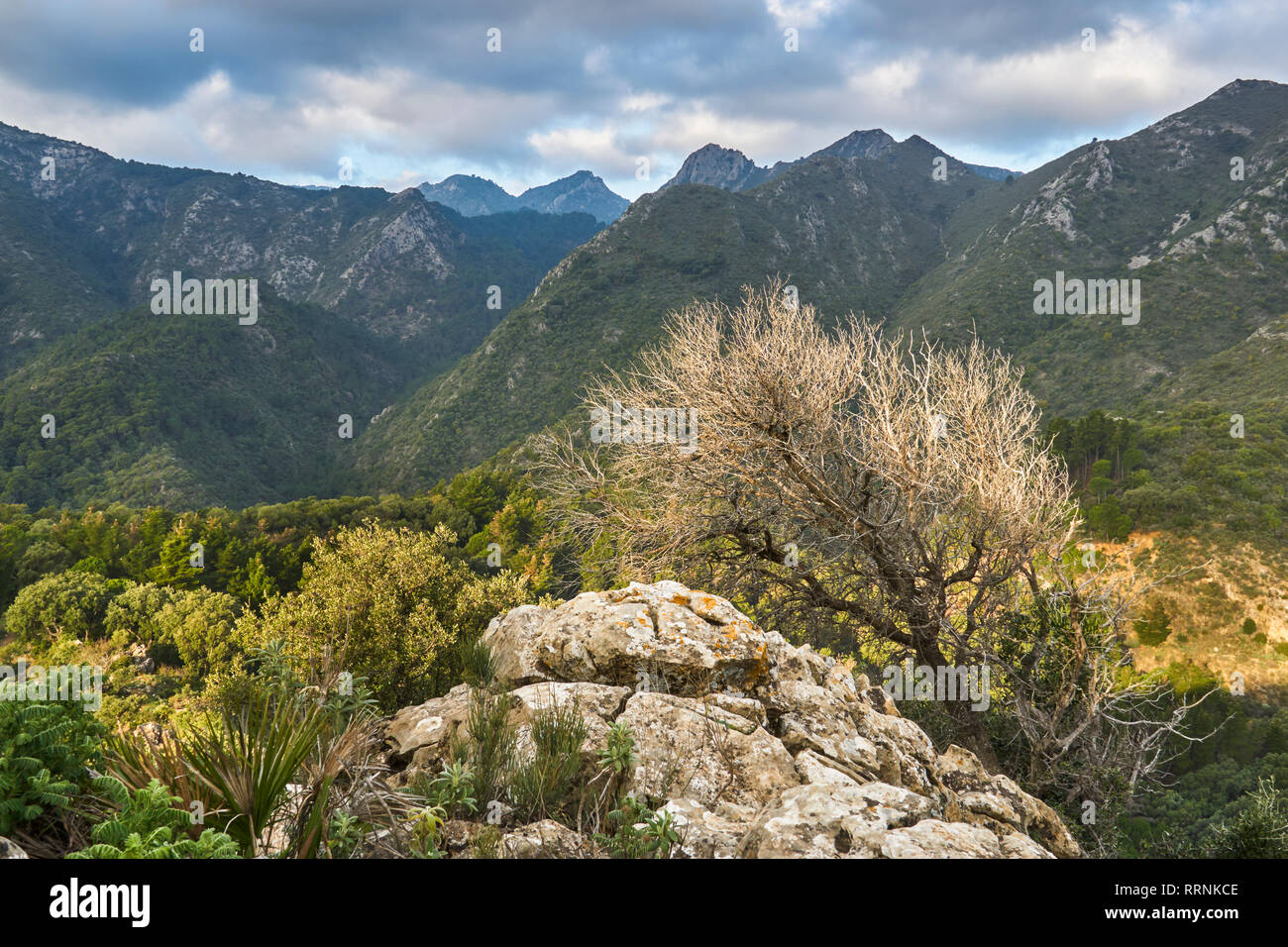 Sierra Blanca. Striations with the Sierra de las Nieves National Park, Malaga. Spain Stock Photo