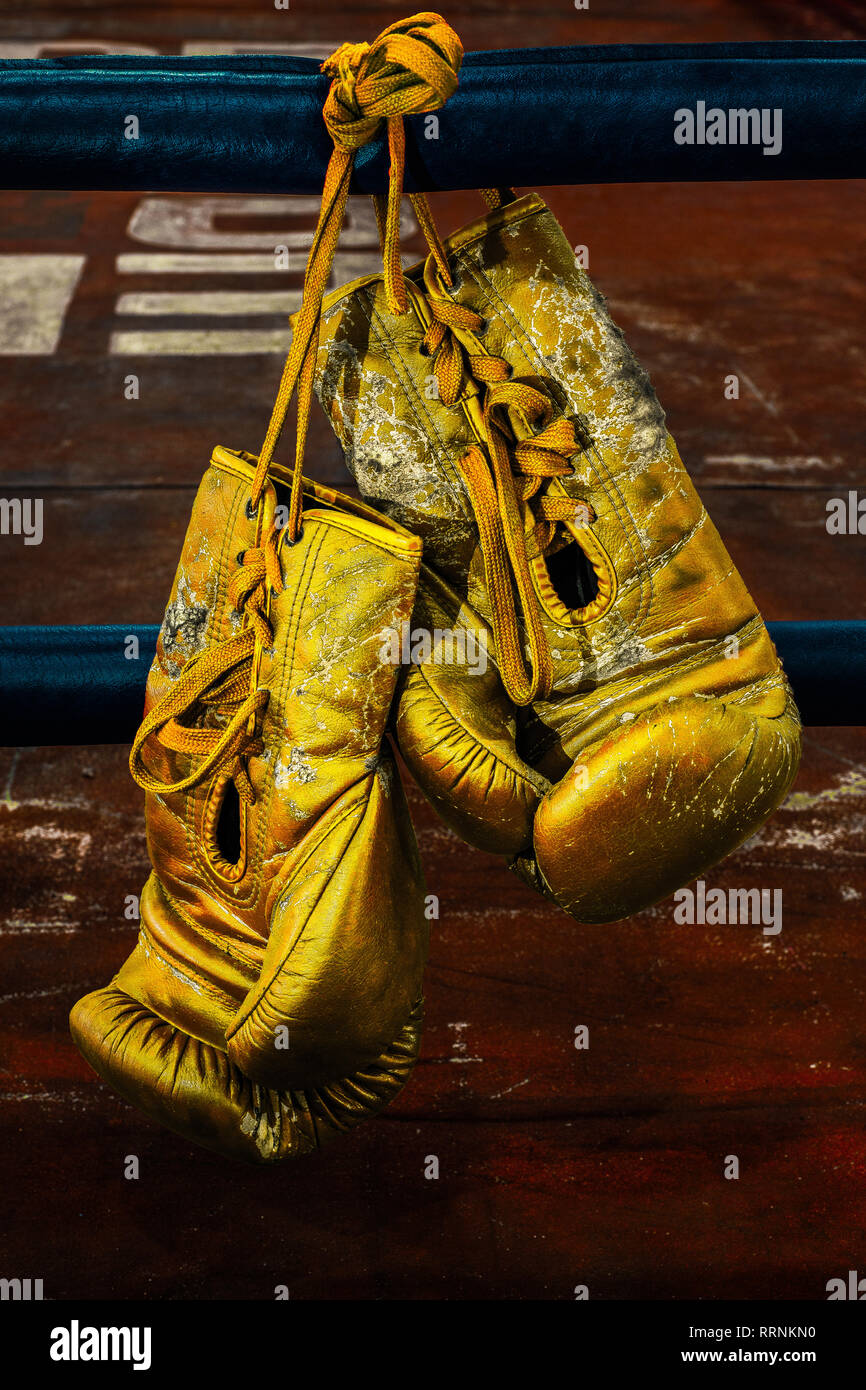 pair of old boxing gloves Stock Photo Alamy