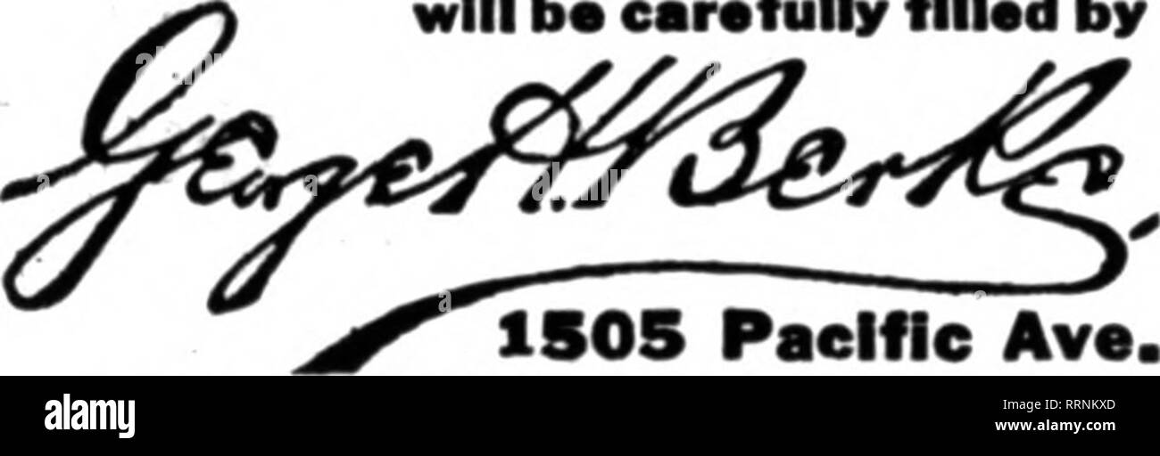 Florists Review Microform Floriculture Scon The Florist Buffalo New York Albany New York Flowers Delivered Also In Troy Water Vliet Cohoes Bensselaer And Schenectady Member Sf Norlat Tslsfrayli Dalltsrr Aa A Laf