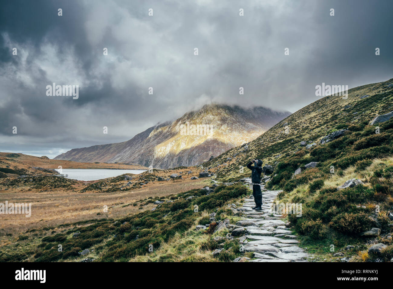 Man on stone path among remote, tranquil landscape, Snowdonia NP, UK Stock Photo