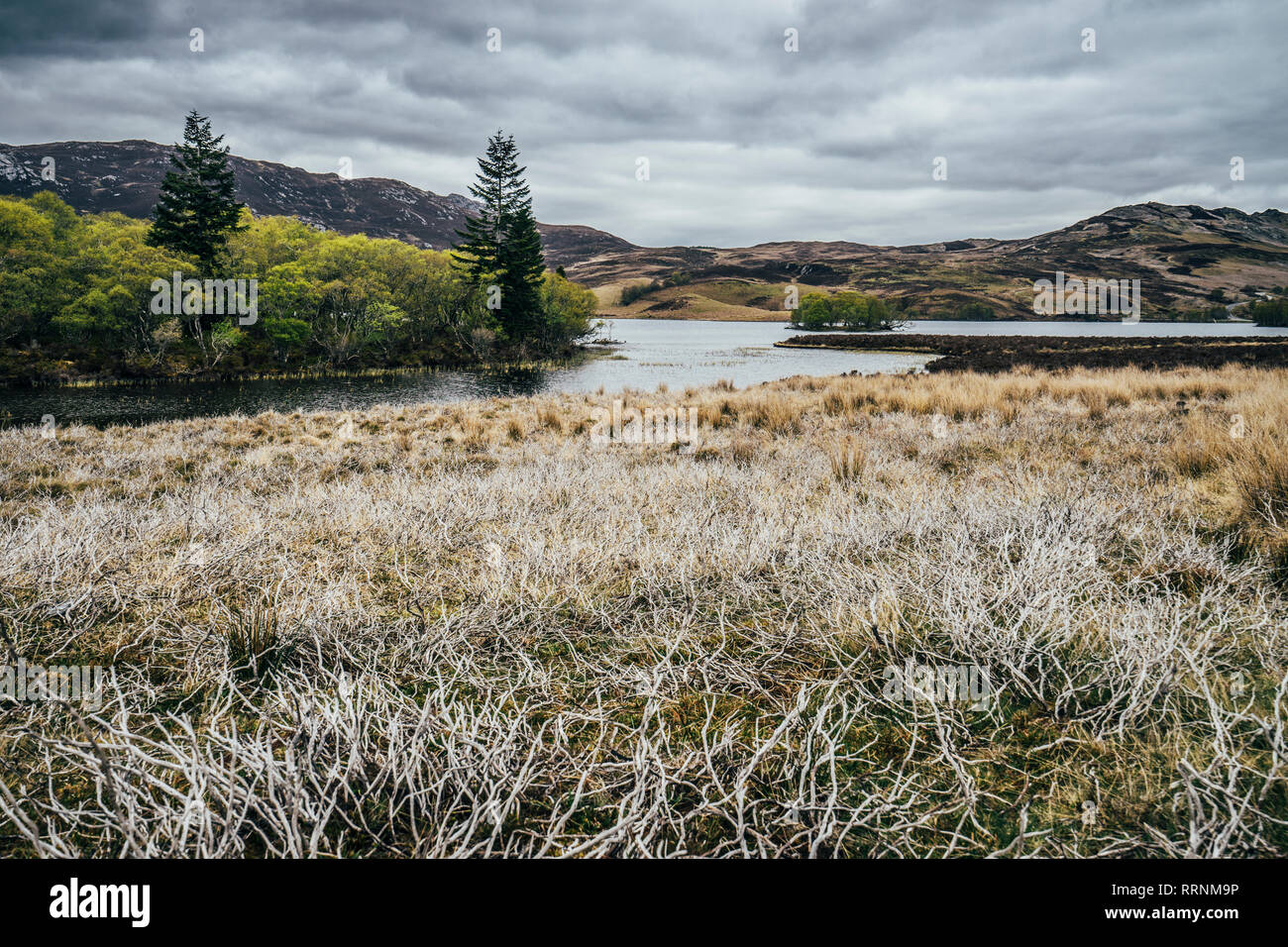 Tranquil landscape and river view, Scotland Stock Photo