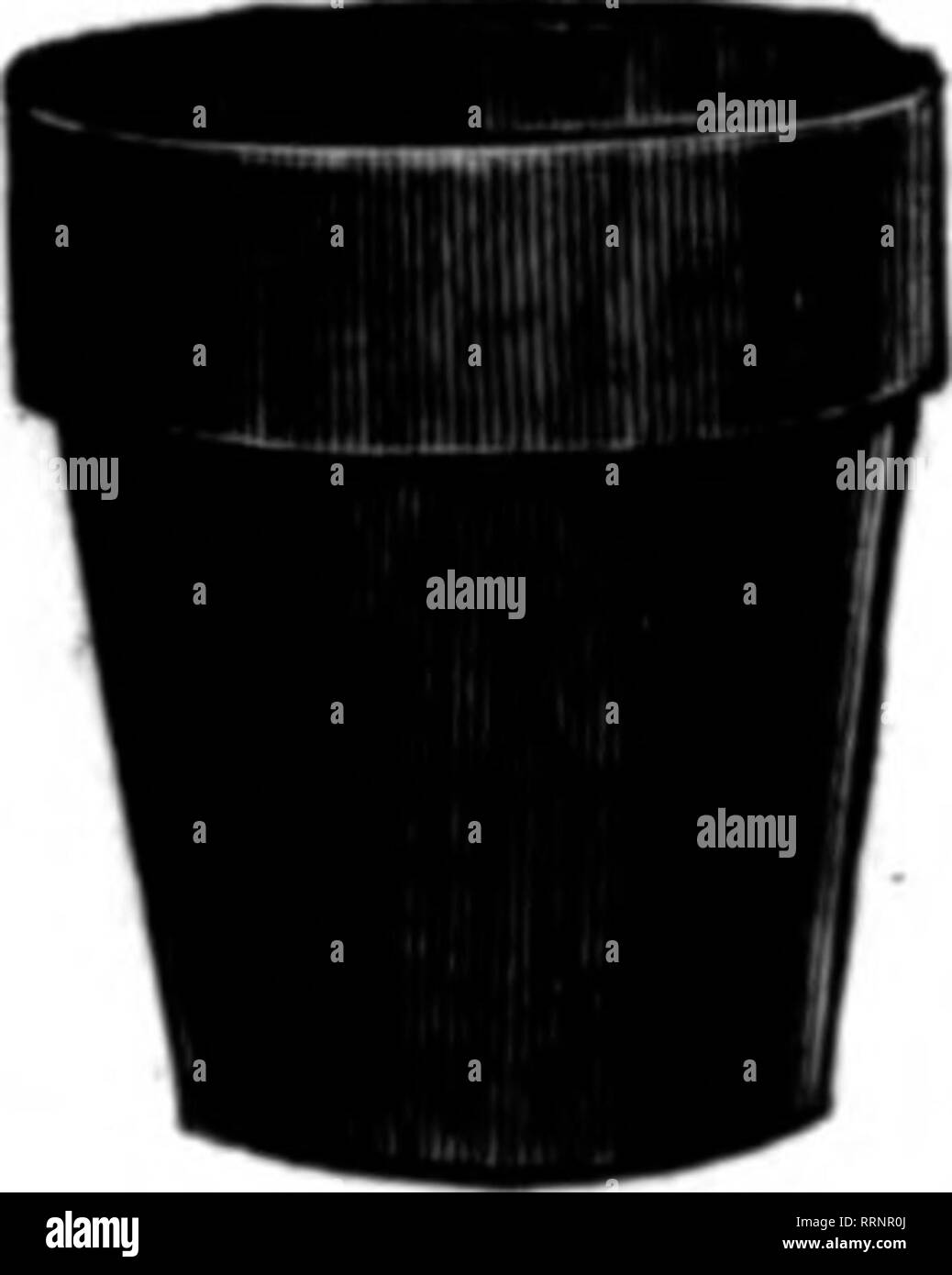 Price 38 Black and White Stock Photos Images Page 2 Alamy