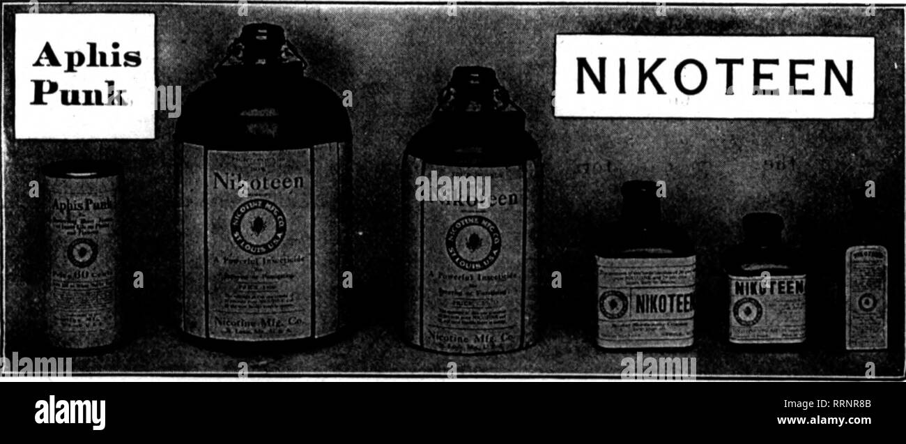 . Florists' review [microform]. Floriculture. THE RAINBOW SYRINGE saves more than Its cost In a short time by reduc- ing your insecticide bills. It Is made of brass, easily adjusted for fine or coarse spray, and Is undoubtedly the best syrlnire on the market. Price Prepaid. $1.60 each; $18.00 doz. JO&quot;N WELSH YOUNG Upsal Station, P. P. K.. Philadelphia, Pa Peerless Sulphur Blower &quot;k great ImproTemant orer the bellows.&quot; Prio*. $4.*« P. O. B. Ohicaco McMORRAN I CO.&quot;VAMoS'i'Lr'•• 12 sheets. 33 in. ea. 8 lbs. 4 lbs. lib. ifllb. 2 0Z.. NanufactiiKd by NICOTINE NFG. COMPANY, 117 N Stock Photo