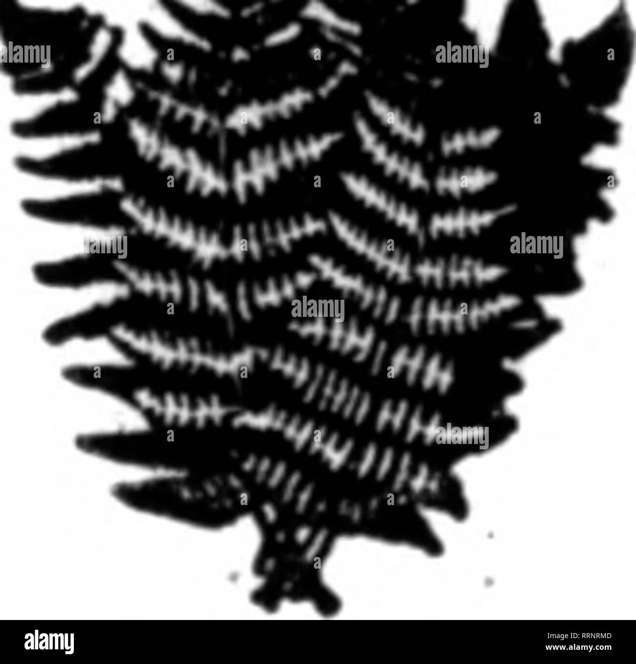 Florists Review Microform Floriculture Von Canon Company
