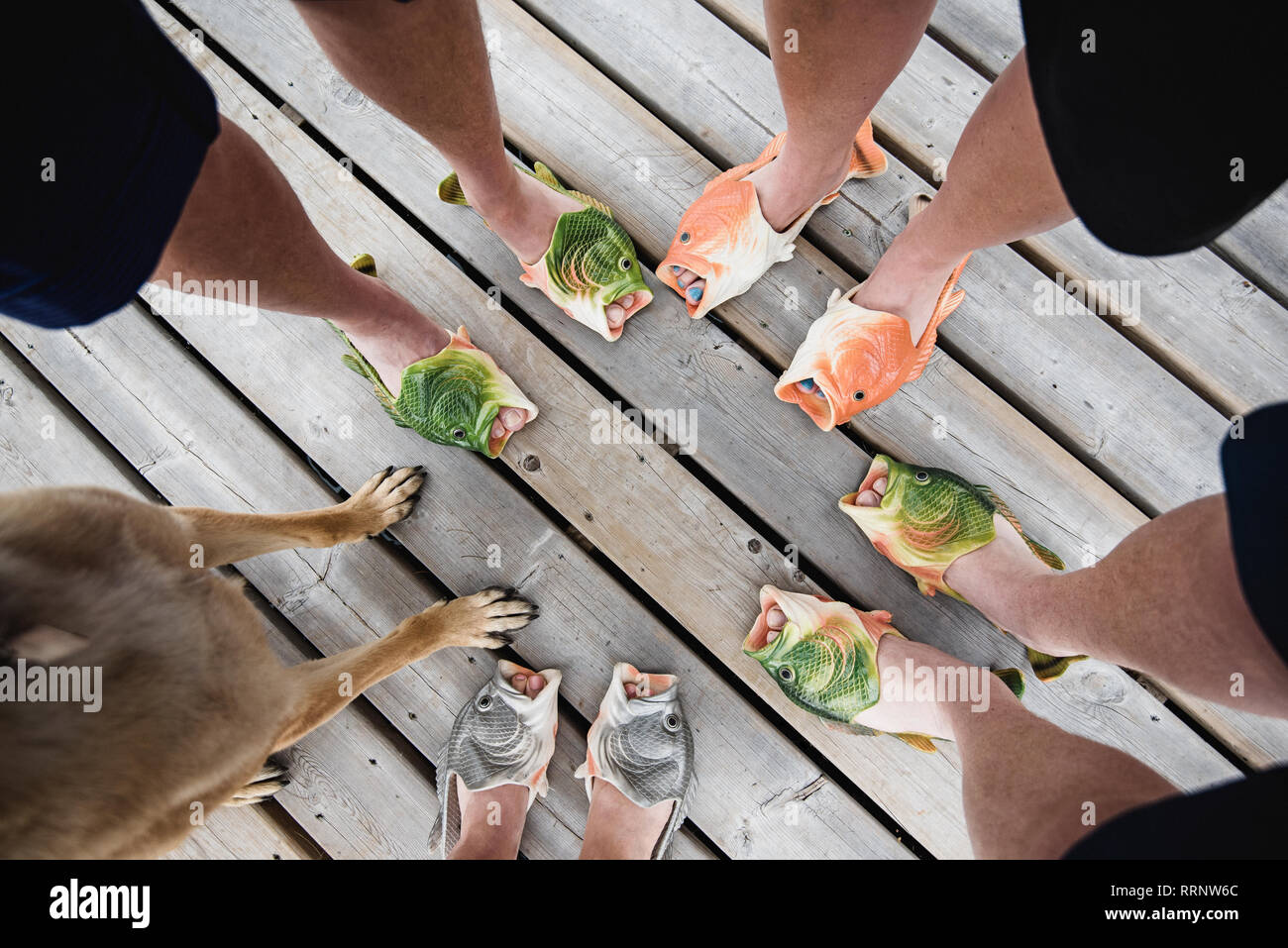 View from above friends wearing humorous fish slippers on dock Stock Photo